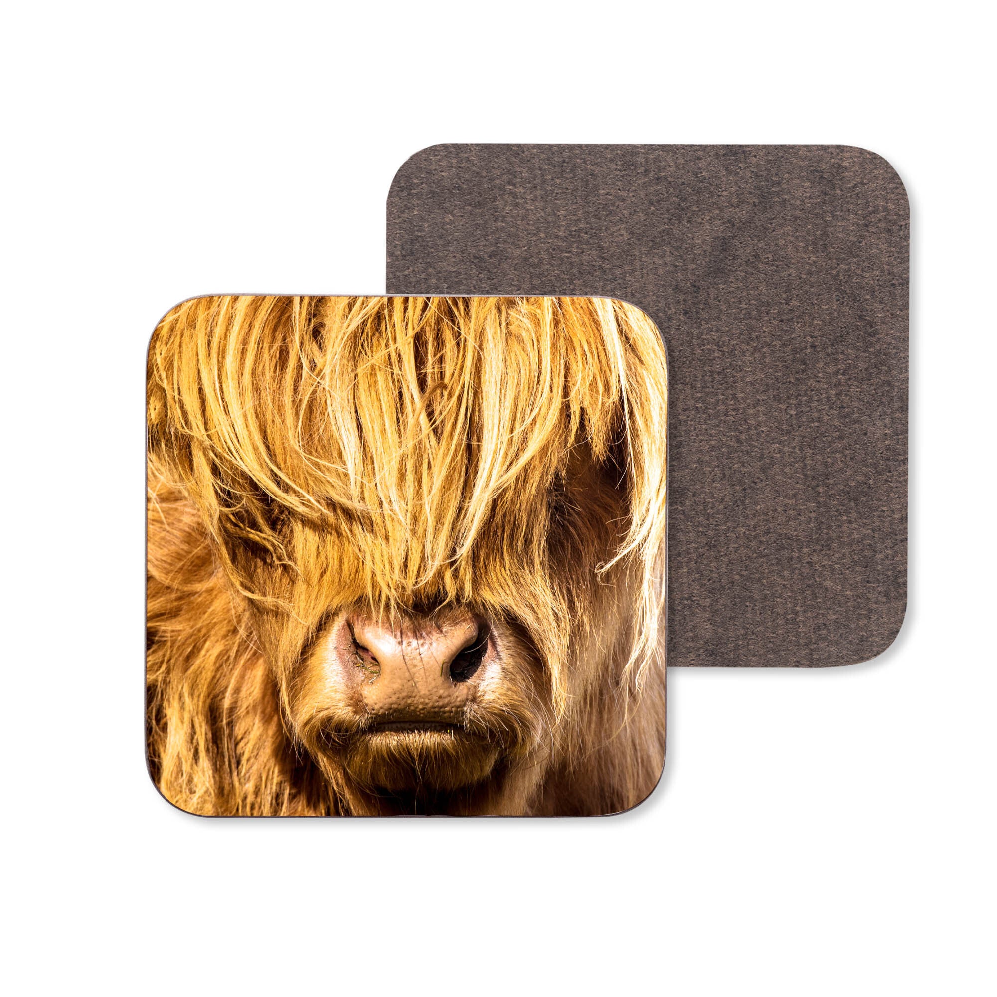 A close up of a Highland Cow on a wooden coaster.