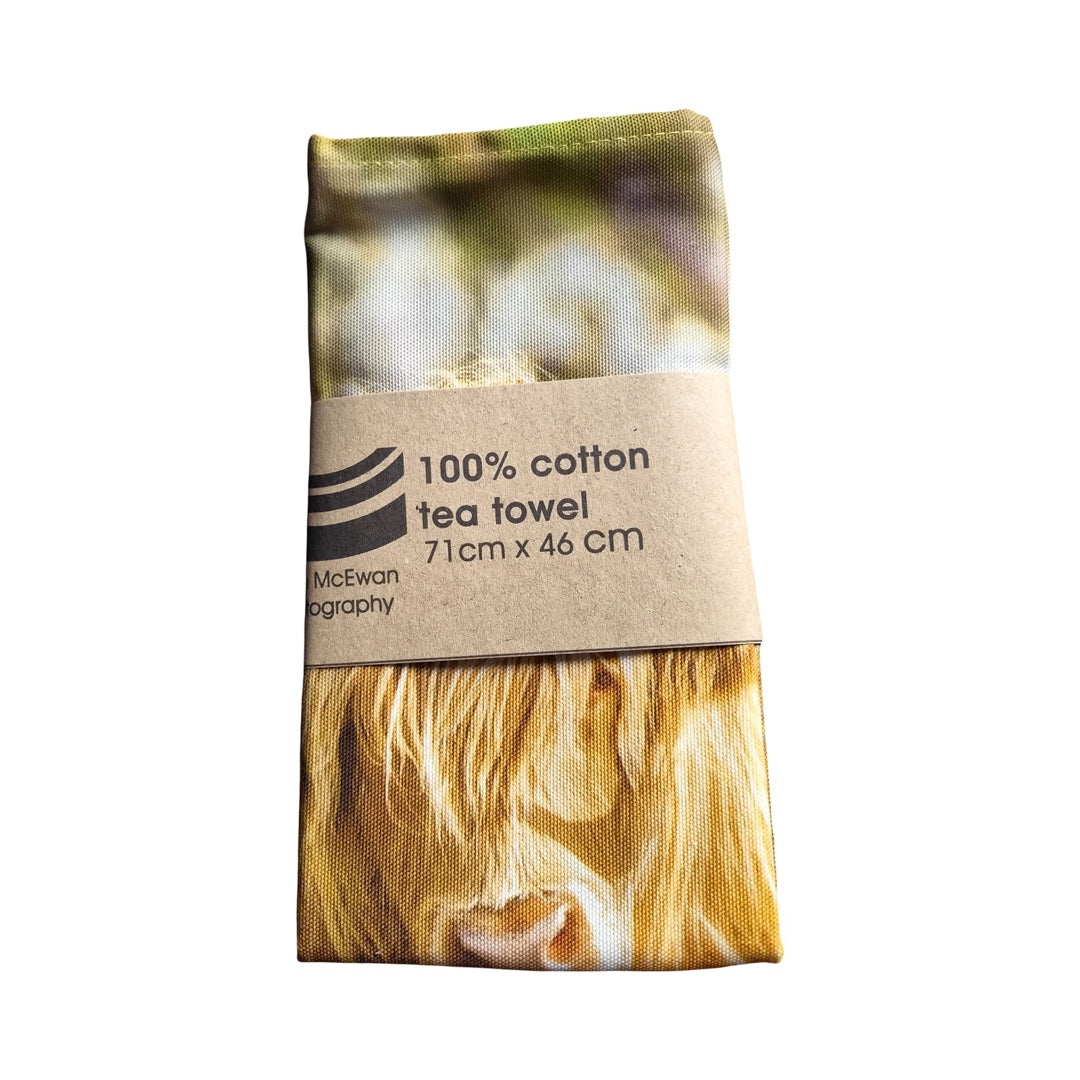 A tea towel with a highland cow on it.