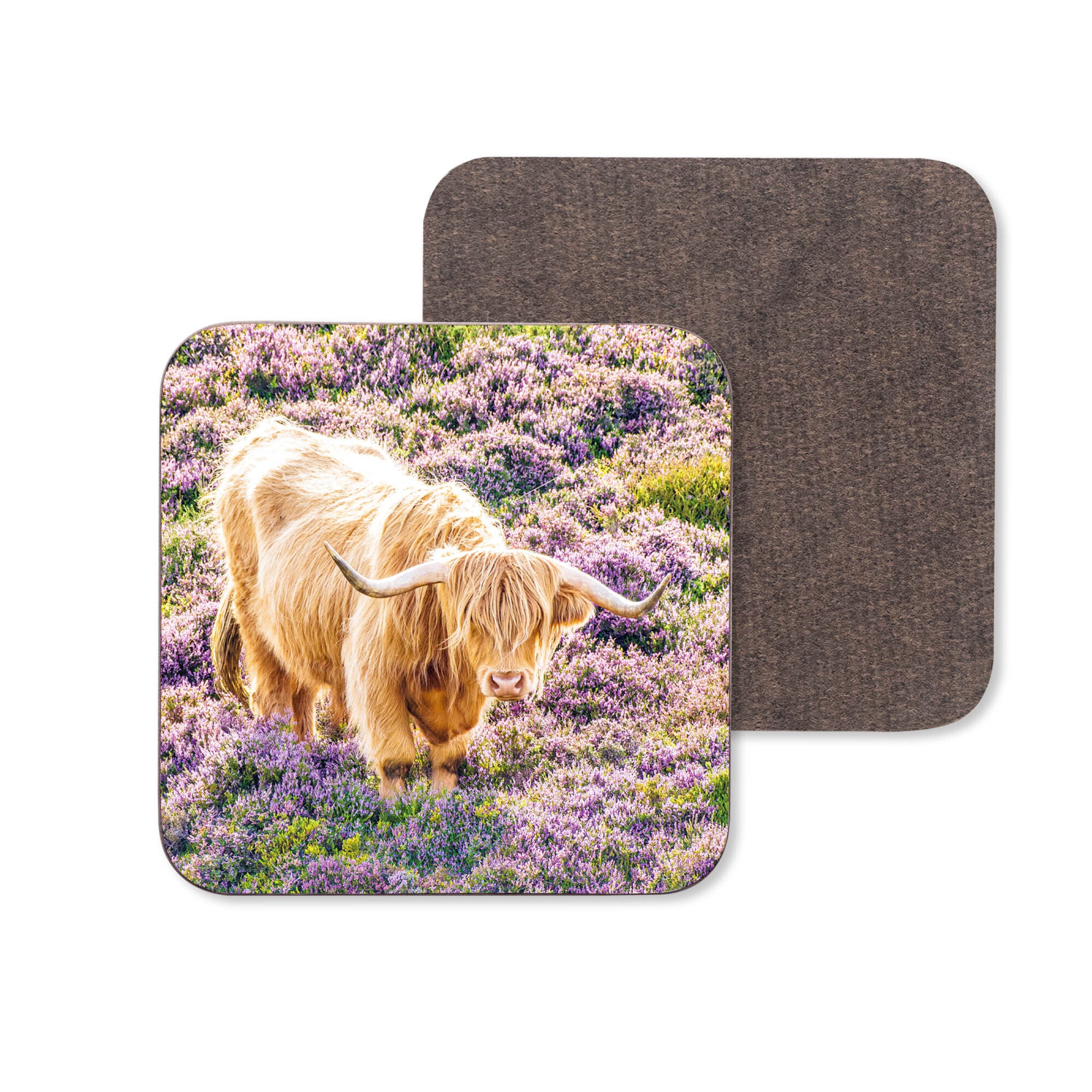 An image of a Highland Cow standing in a field of heather, on a ceramic coaster.