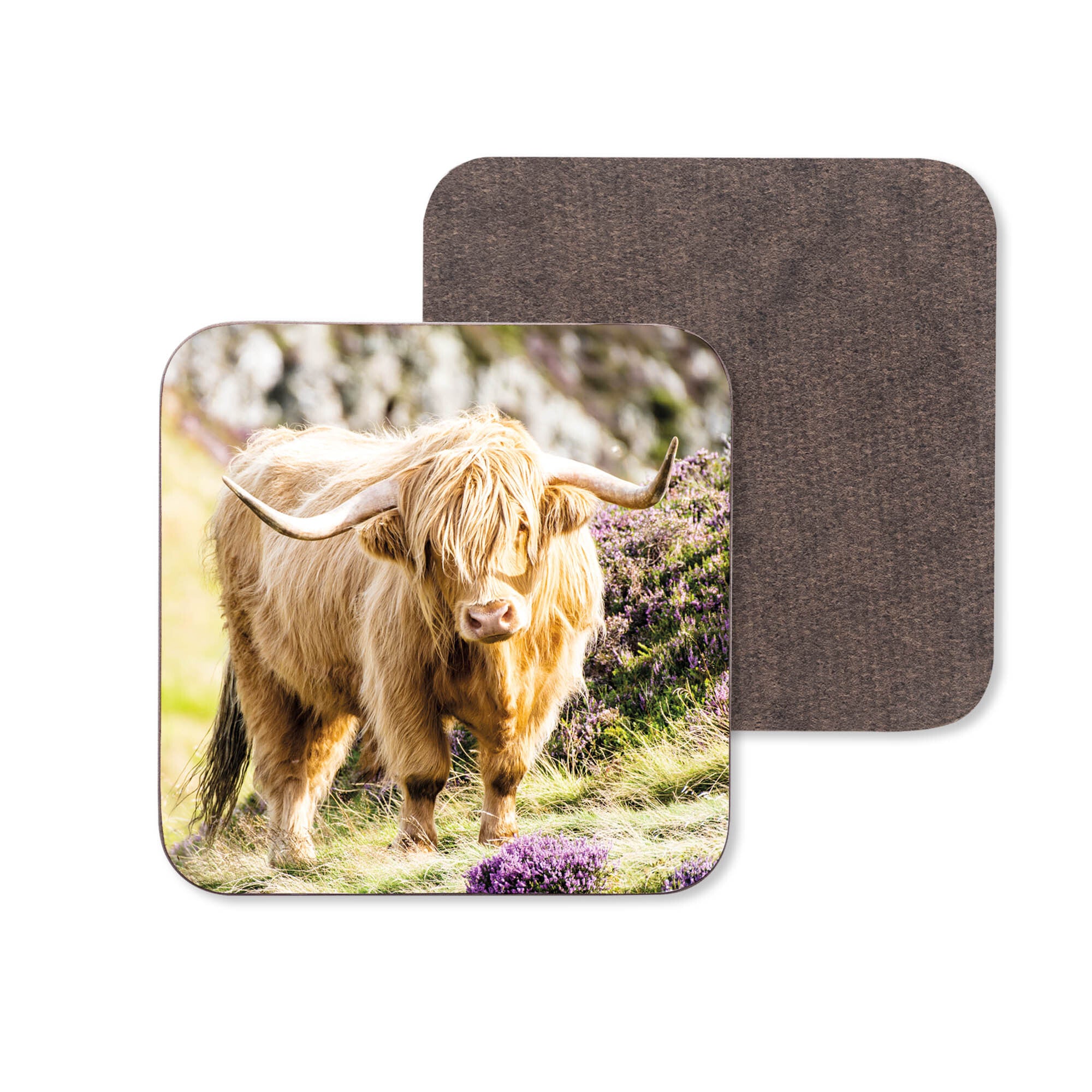 AN image of a Highland Cow standing in heather looking at the camera on a coaster.