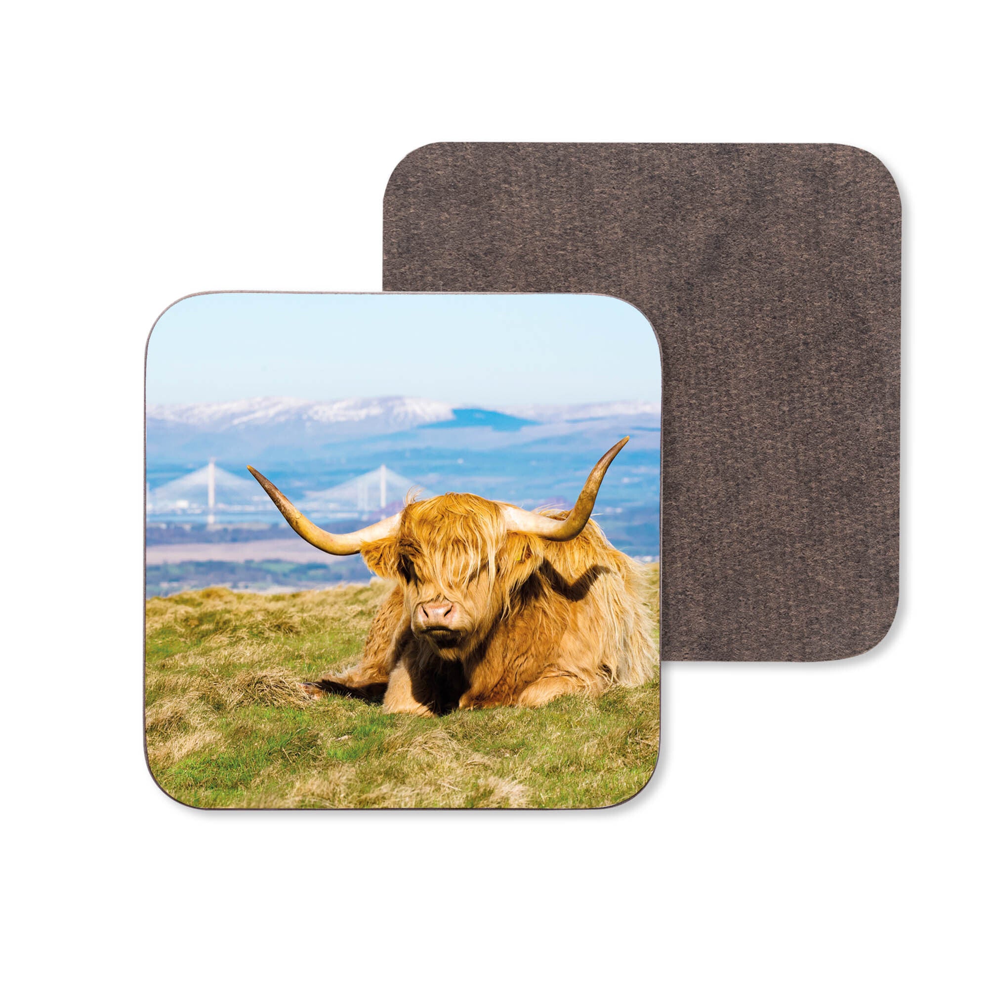An image of a Highland Cow with the Queensferry Crossing in the background on a wooden coaster.