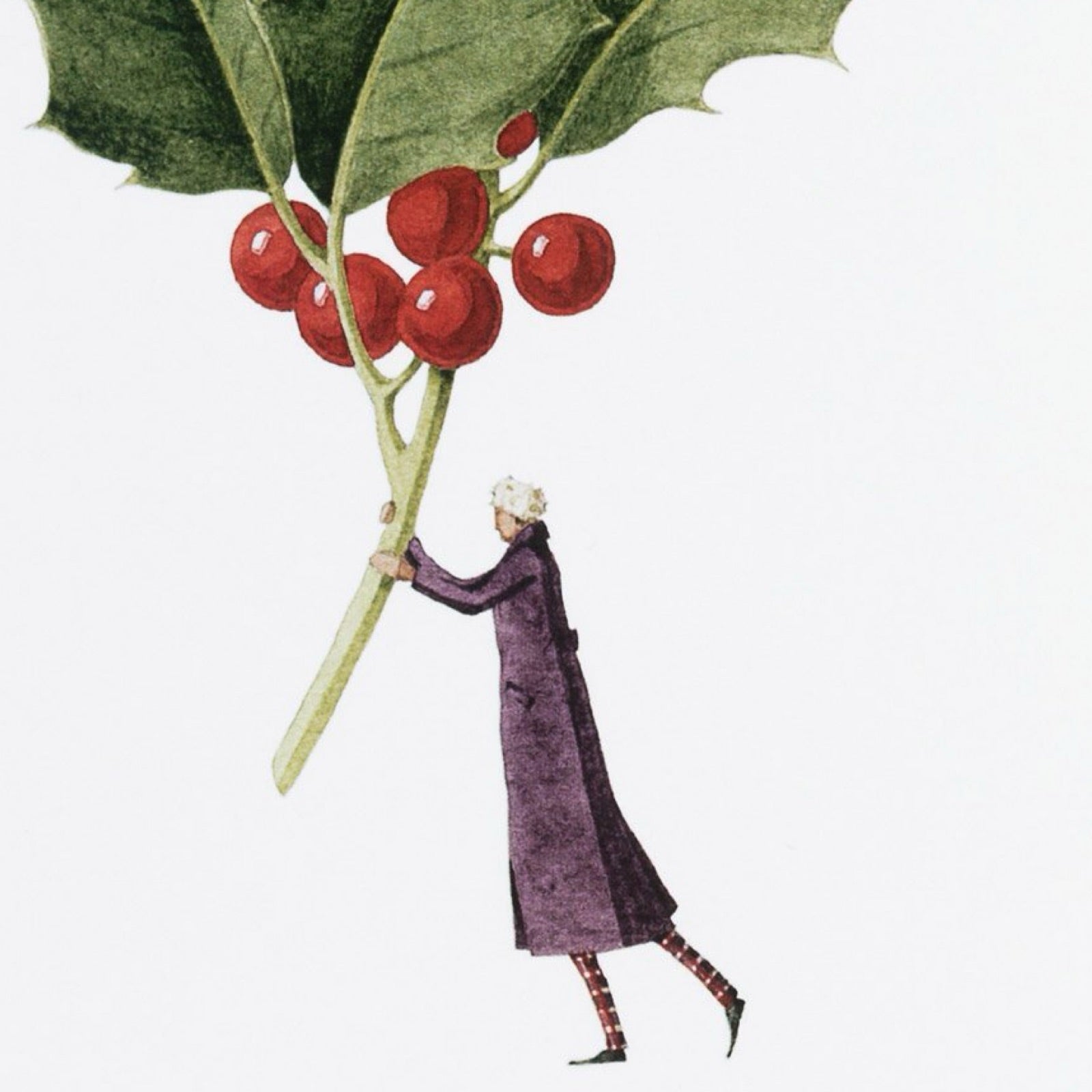 Christmas card featuring an illustration of a man in a long purple overcoat holding a giant holly stem.