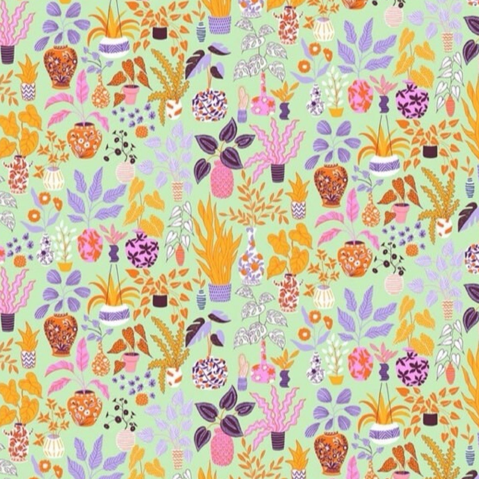 Wrapping paper featuring a colourful selection of house plants on a pale green background.