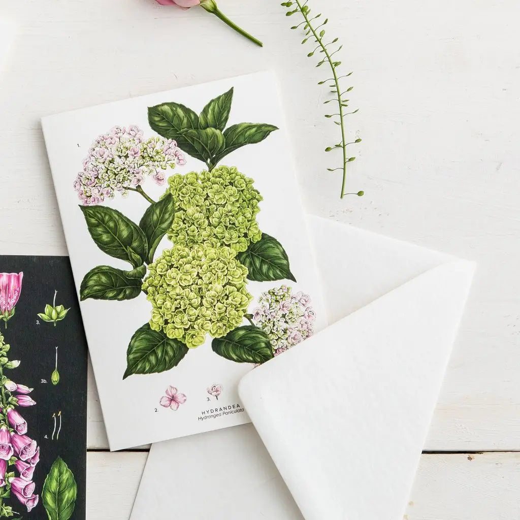 Floral illustration on paper with a white background.