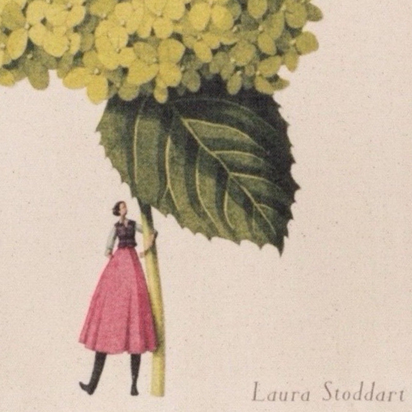 Illustration of a person holding a large flower with 'Laura Stoddart' signature.