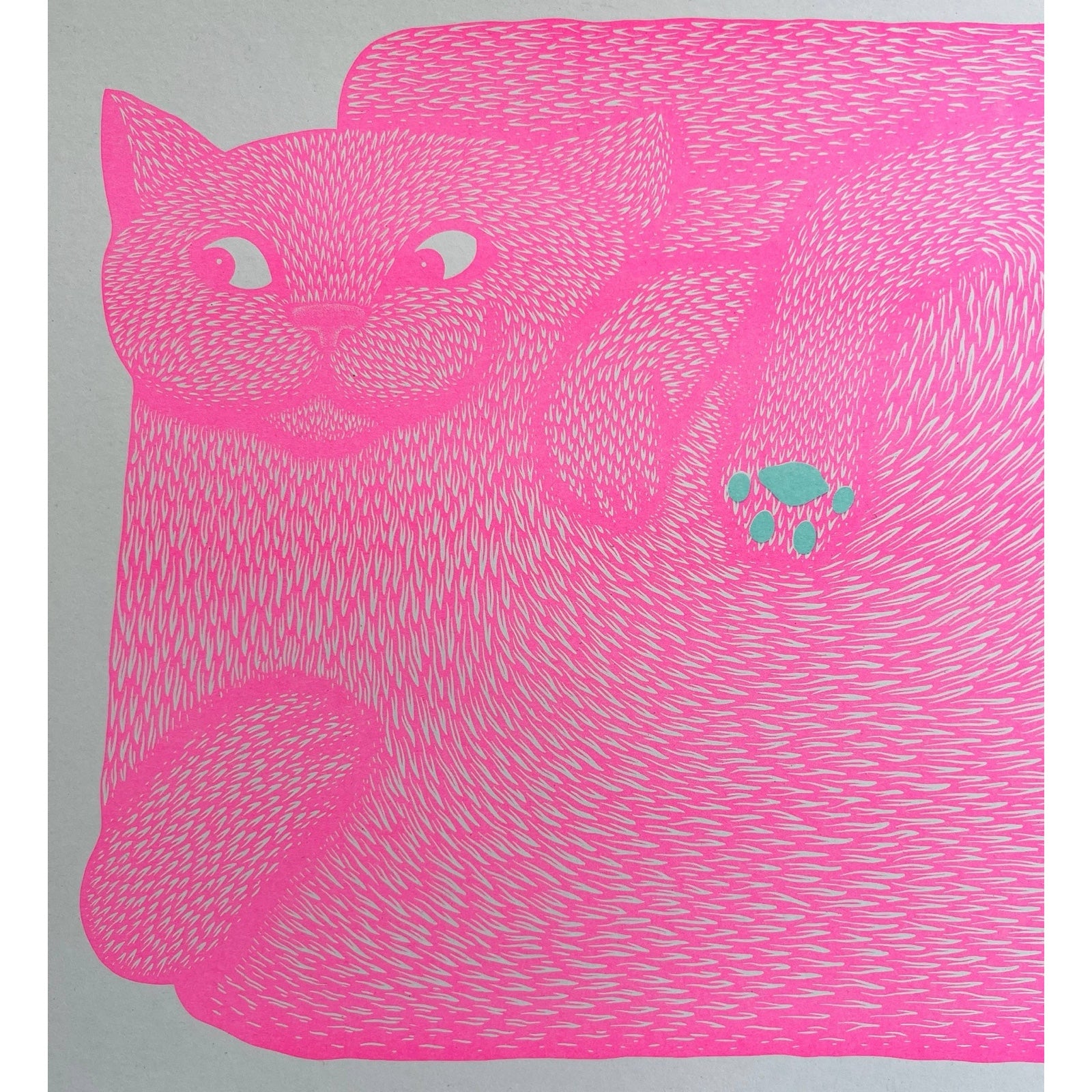 A risograph print of a large pink cat squashed into a rectangular position with turquoise paws.