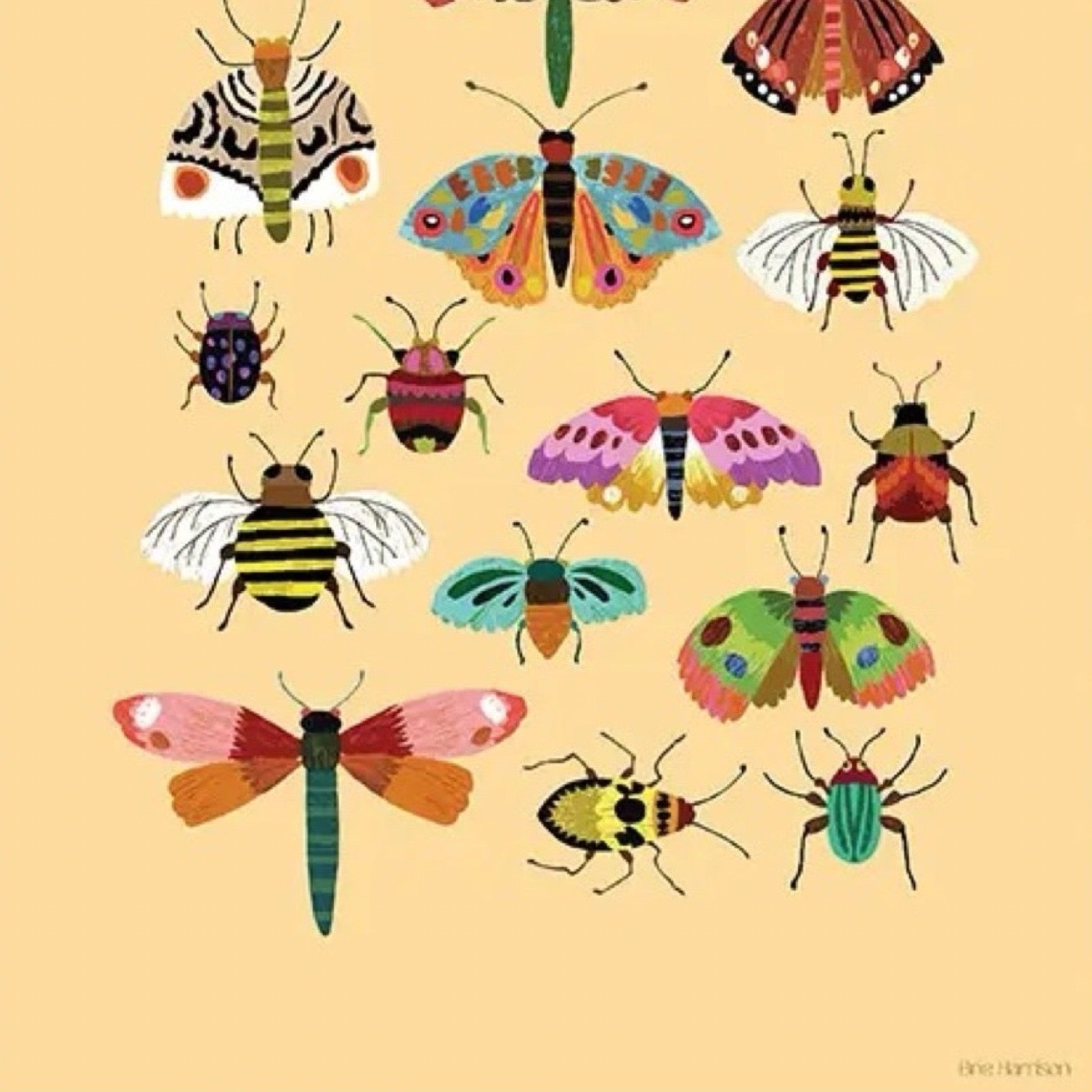 Illustrations of colourful insects on a beige background.