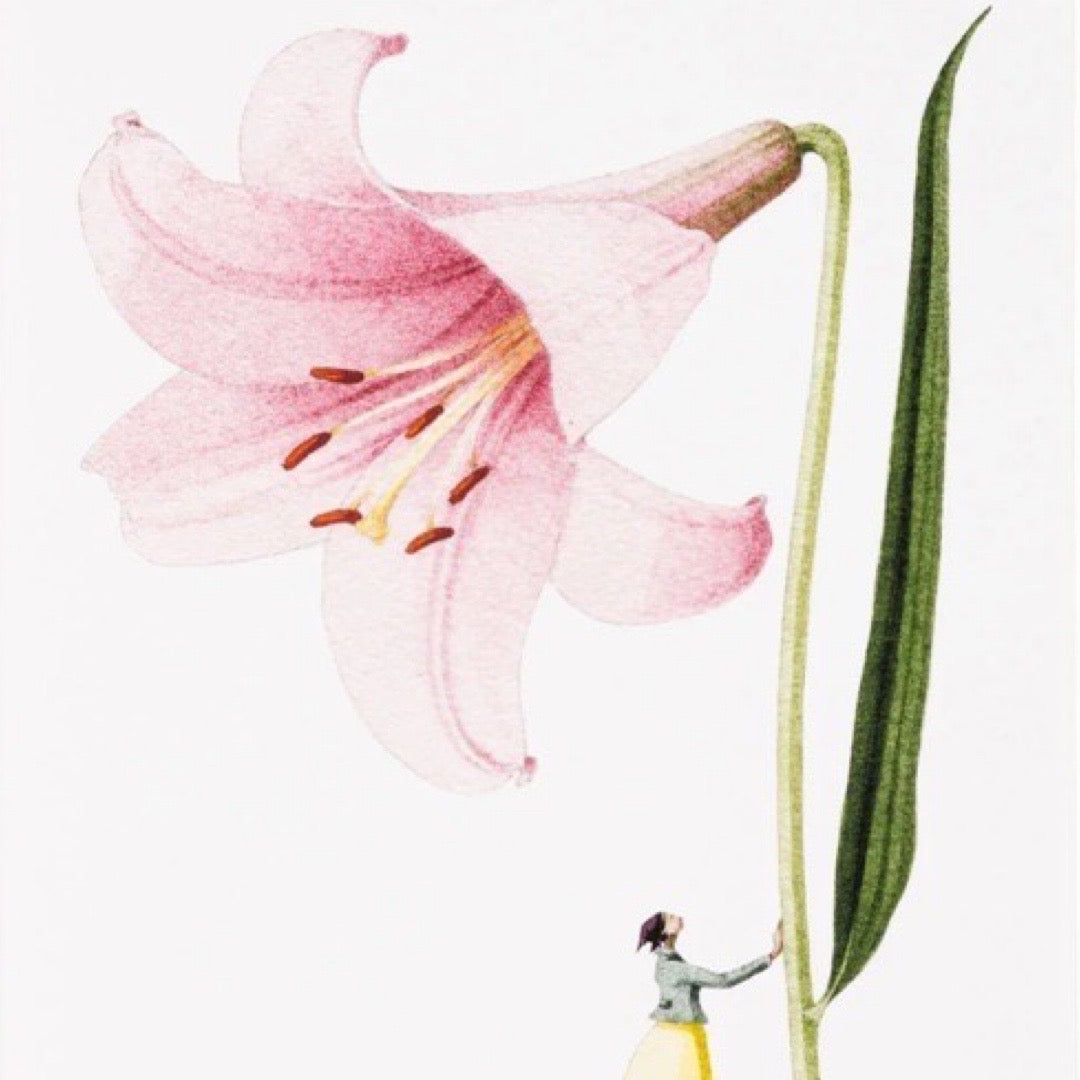 Illustration of a person holding onto a tall pink flower with a white background.