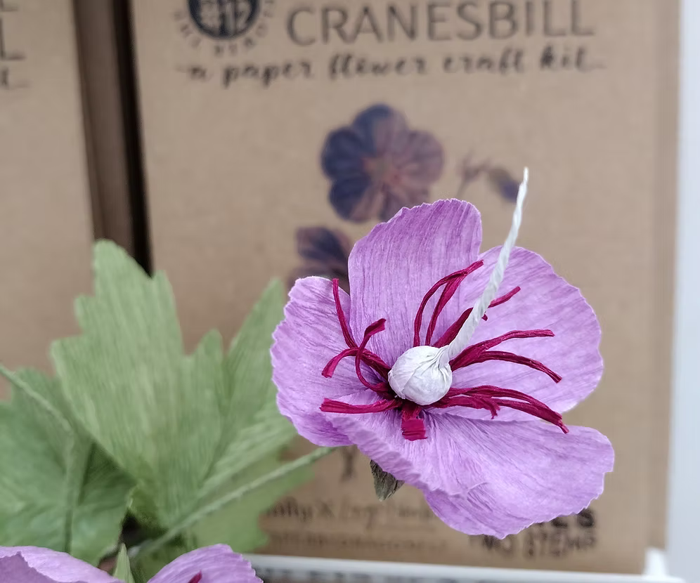 Purple paper flower craft in front of a Cranesbill paper flower craft kit box.