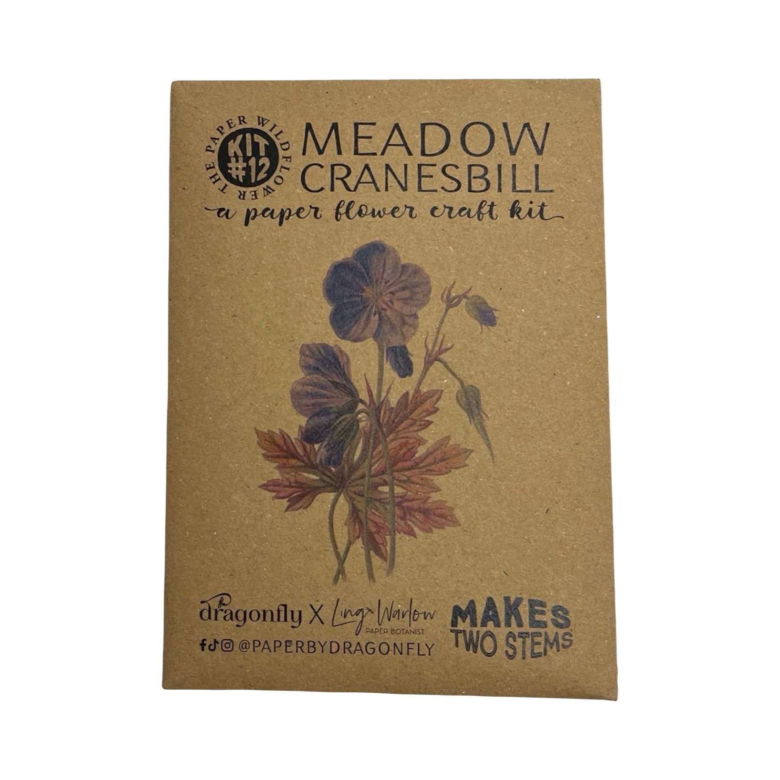 Meadow Cranesbill paper flower craft kit packaging on a white background.