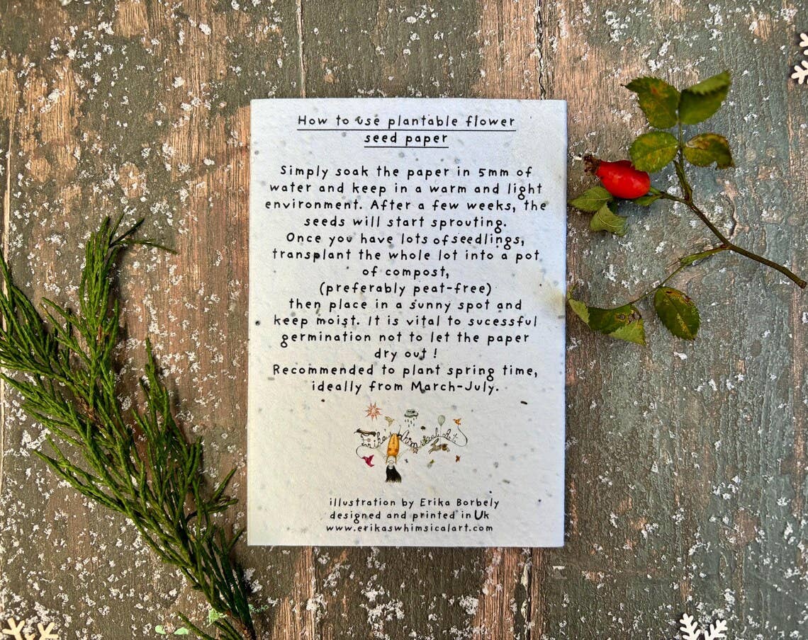 A printed seed paper card with instructions and small illustrations lies on a rustic weathered wood surface, styled with evergreen branches and a red berry sprig.