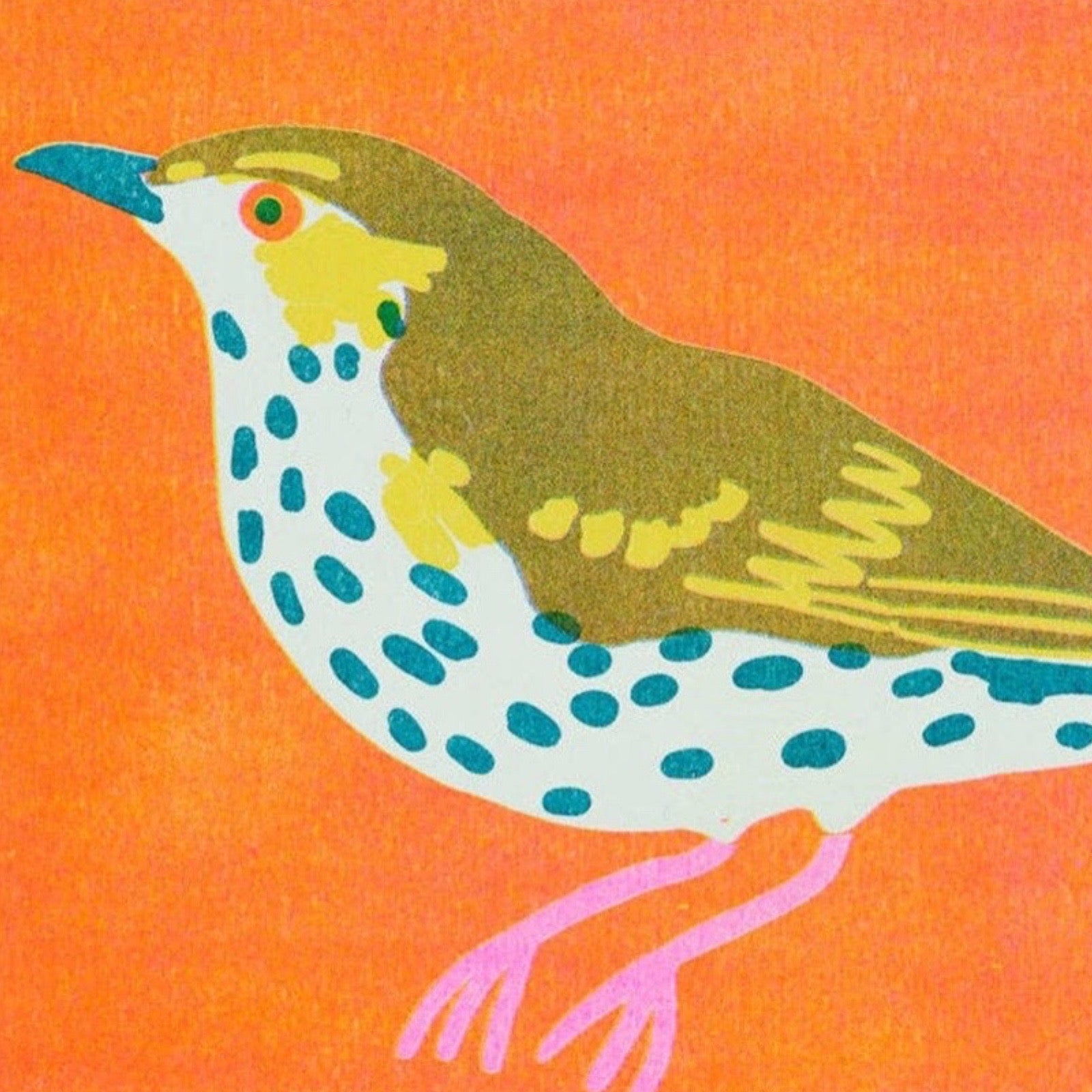 Colourful illustration of a bird on an orange background.