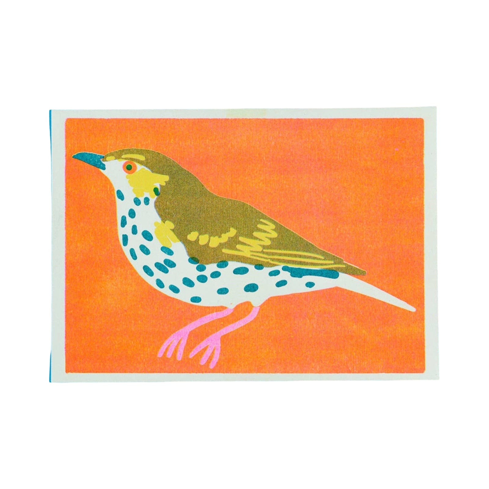 Colourful illustration of a bird on an orange background.