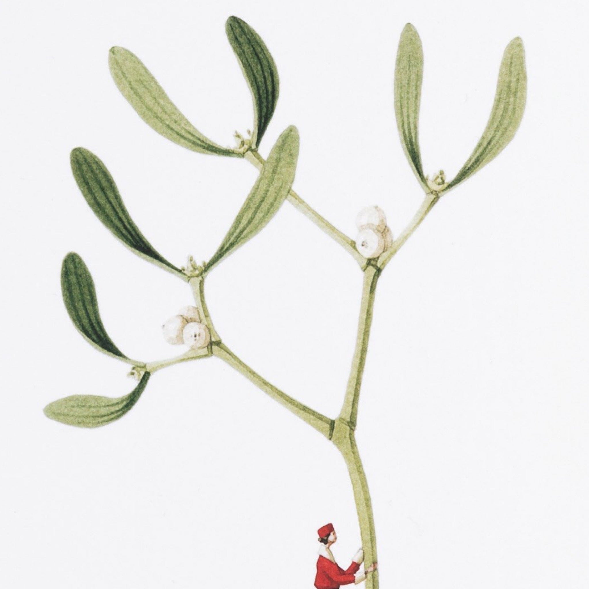 Illustration of a mistletoe branch with berries and a small figure at the bottom.
