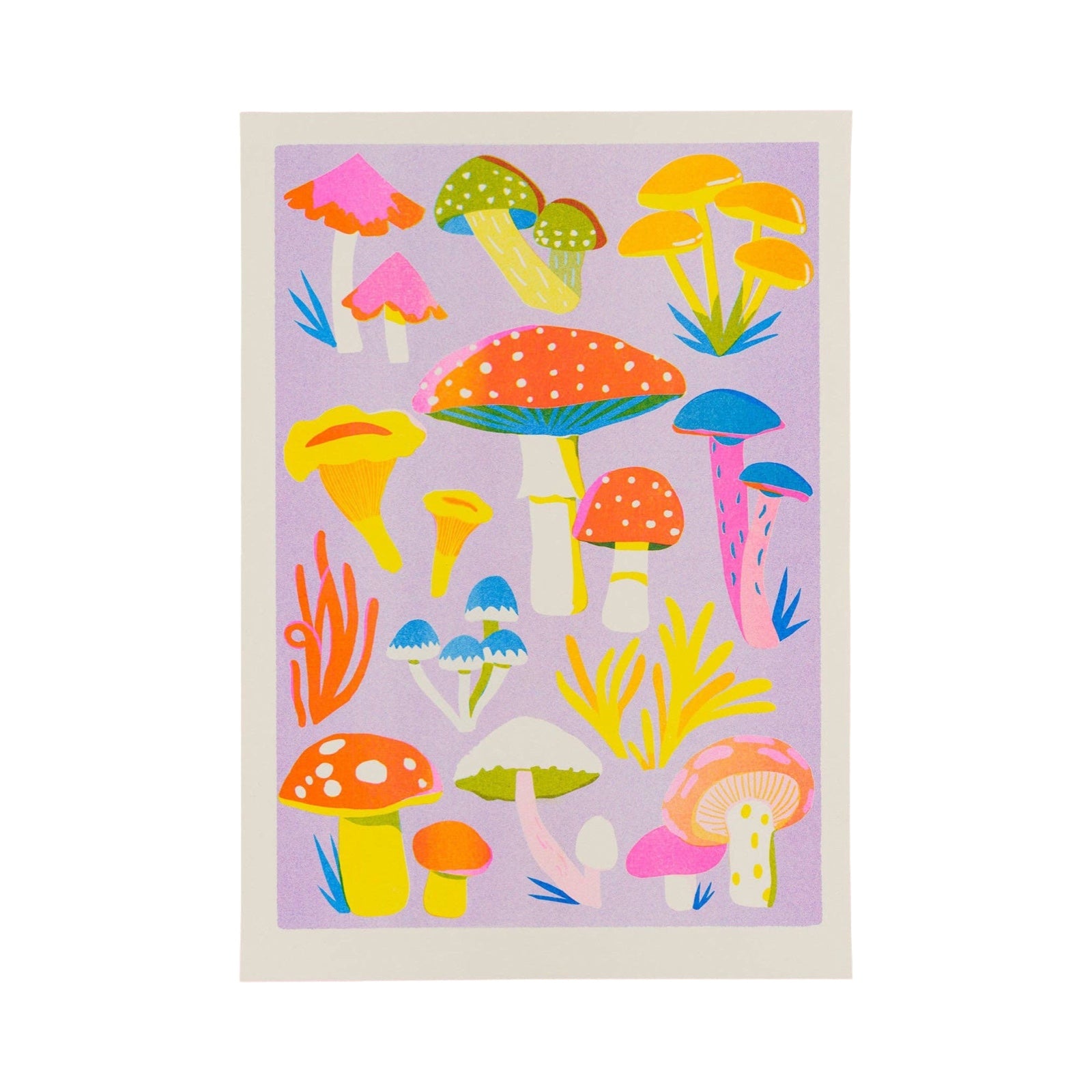 Colourful mushroom illustration on a purple background.