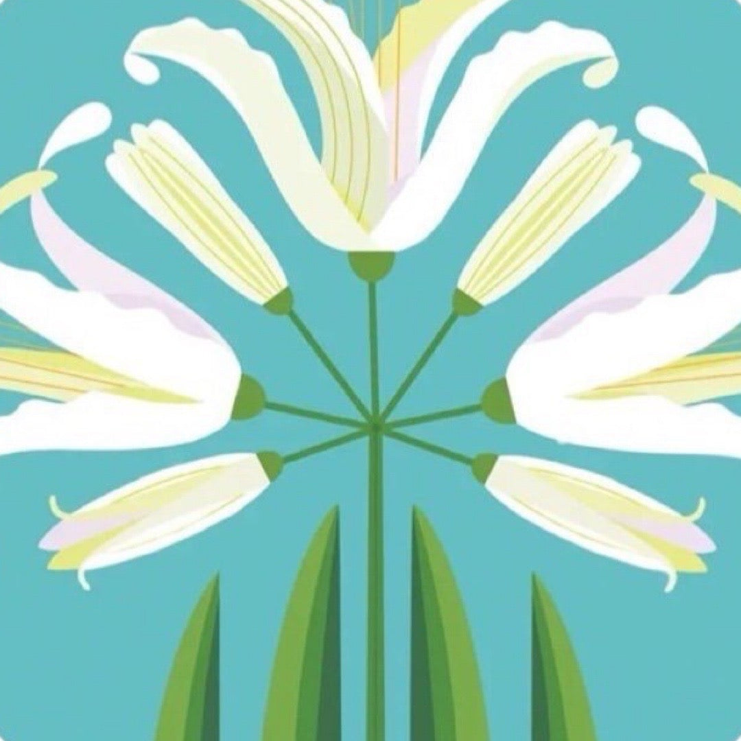 A round placemat featuring an abstract nerine flower design in white and green against a turquoise background.