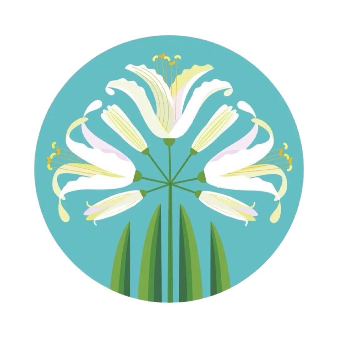 A round placemat featuring an abstract nerine flower design in white and green against a turquoise background.