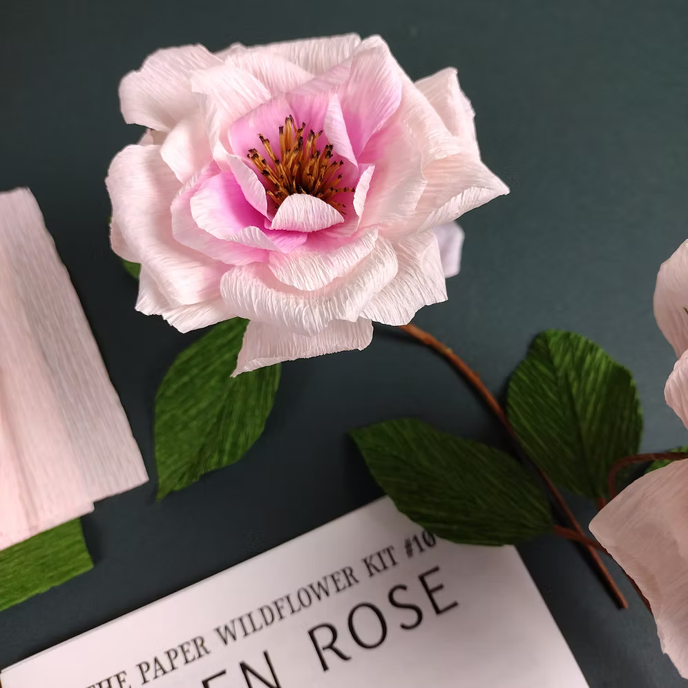 Pink paper flower on a black background with 'The Paper Wildflower Kit' visible.