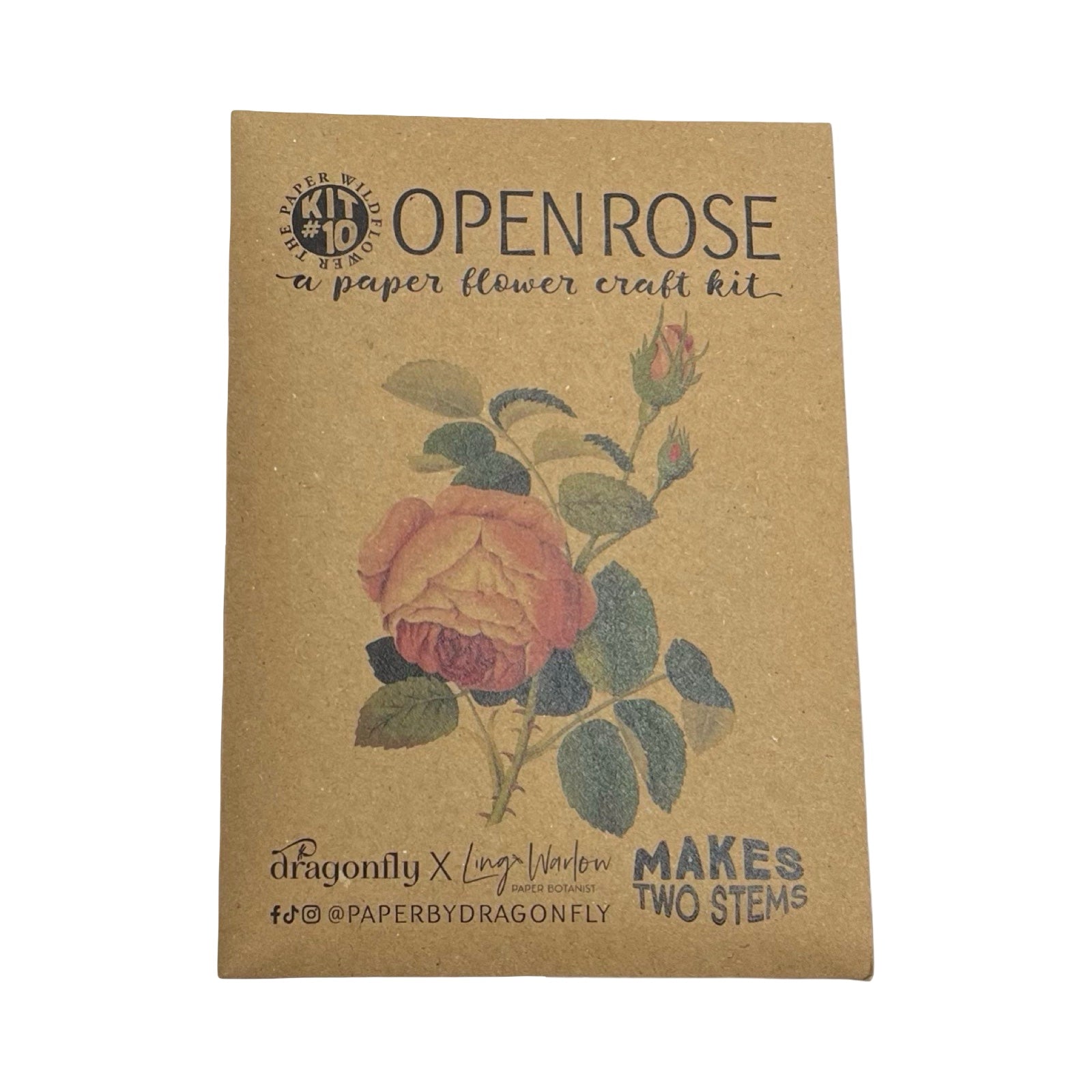 Open Rose paper flower craft kit packaging on a white background.
