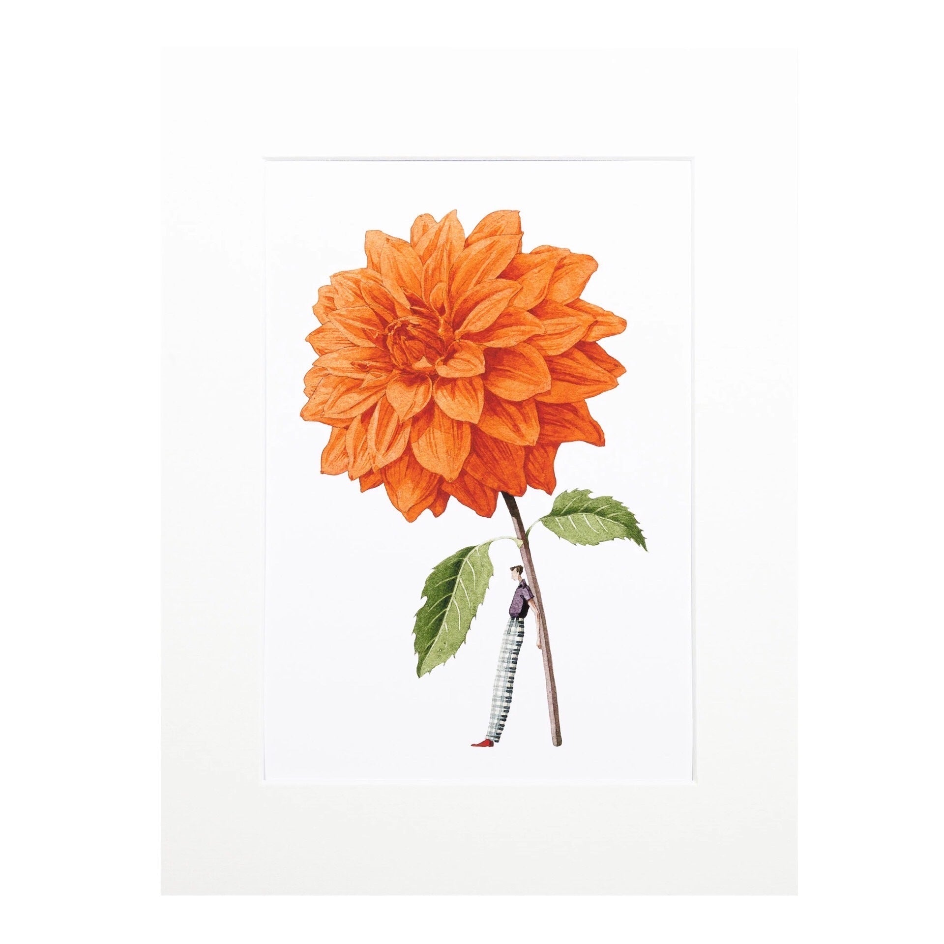 Floral mounted print featuring a beautiful illustration of a fabulously dressed man holding a giant orange dahlia.