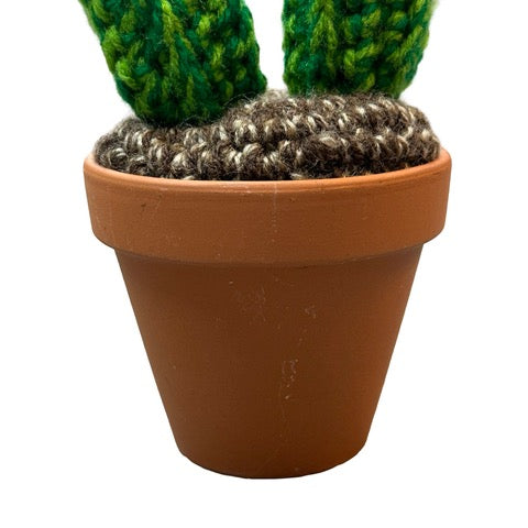 Crochet pot.