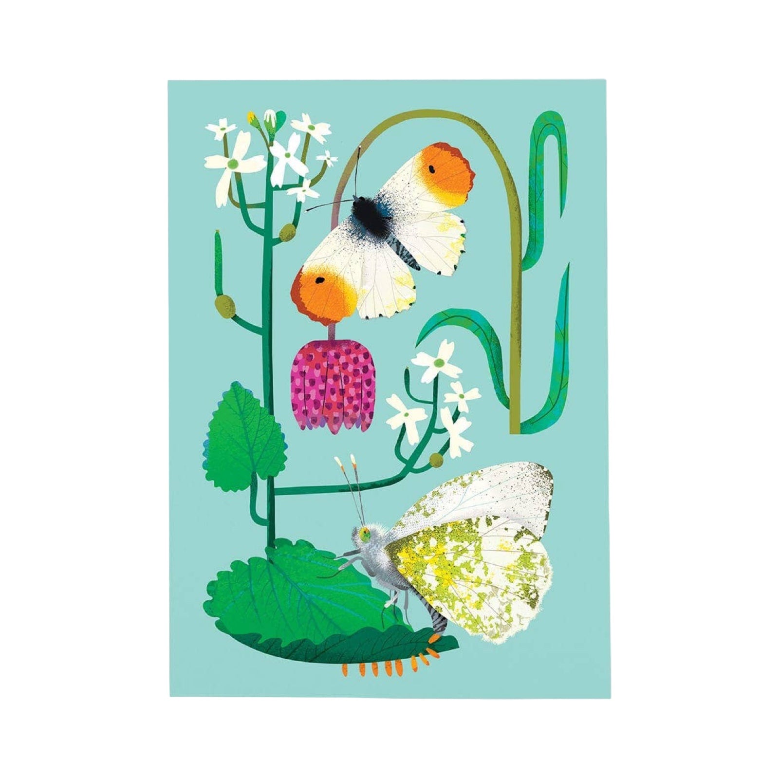 Illustration of butterflies and flowers on a light blue postcard.