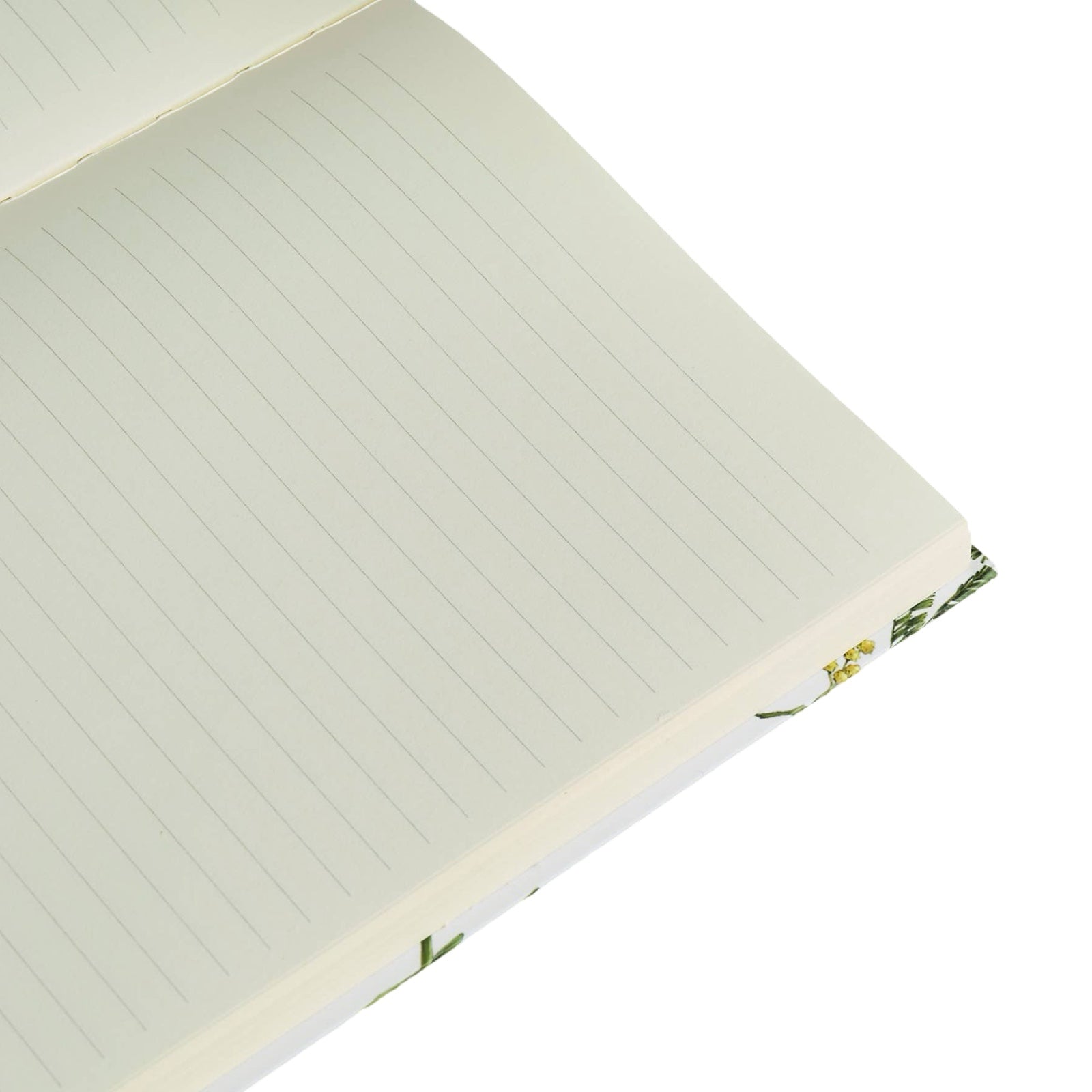 The inside lined pages of a Catherine Lewis hardback notebook.