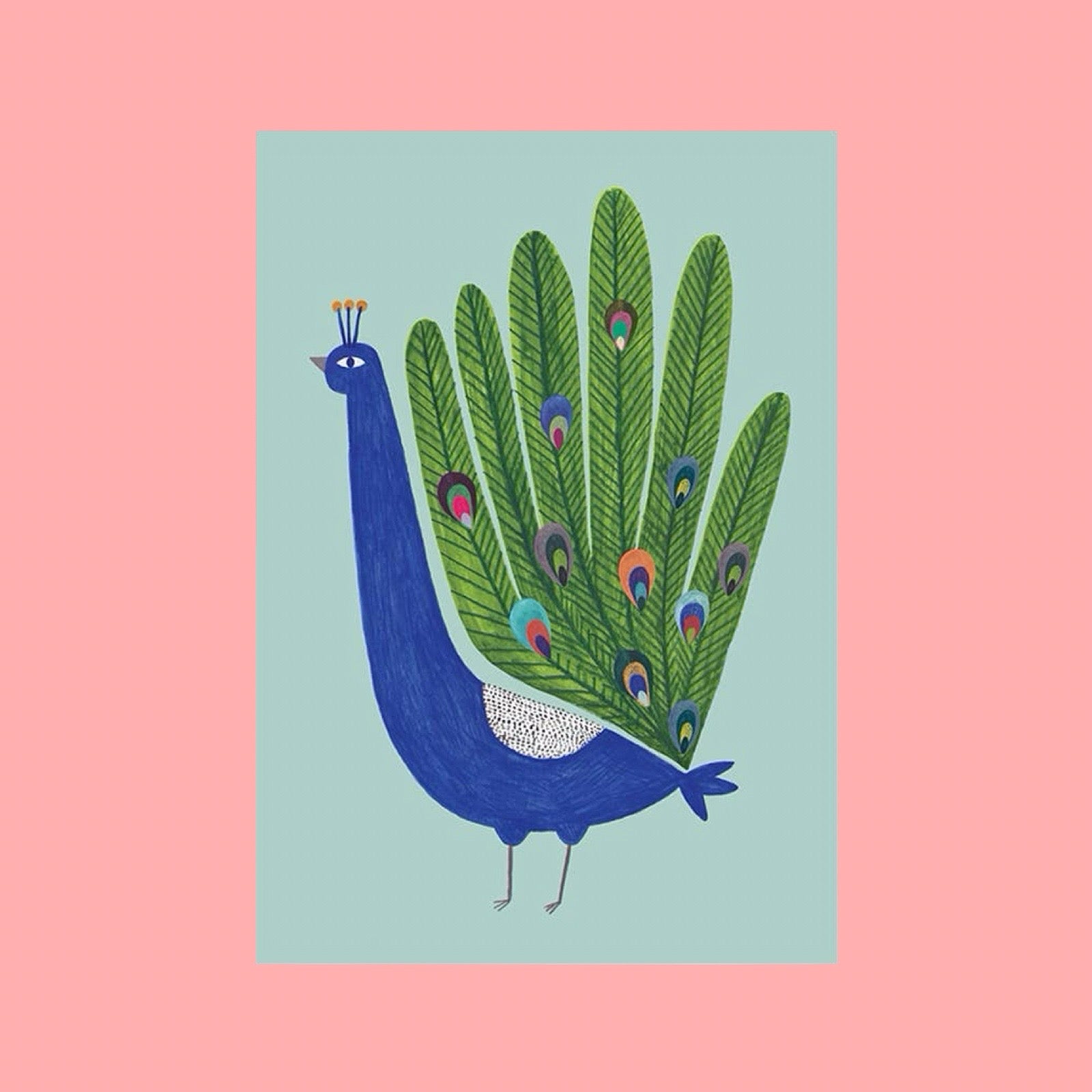Illustration of a peacock on a light blue background with a pink background.
