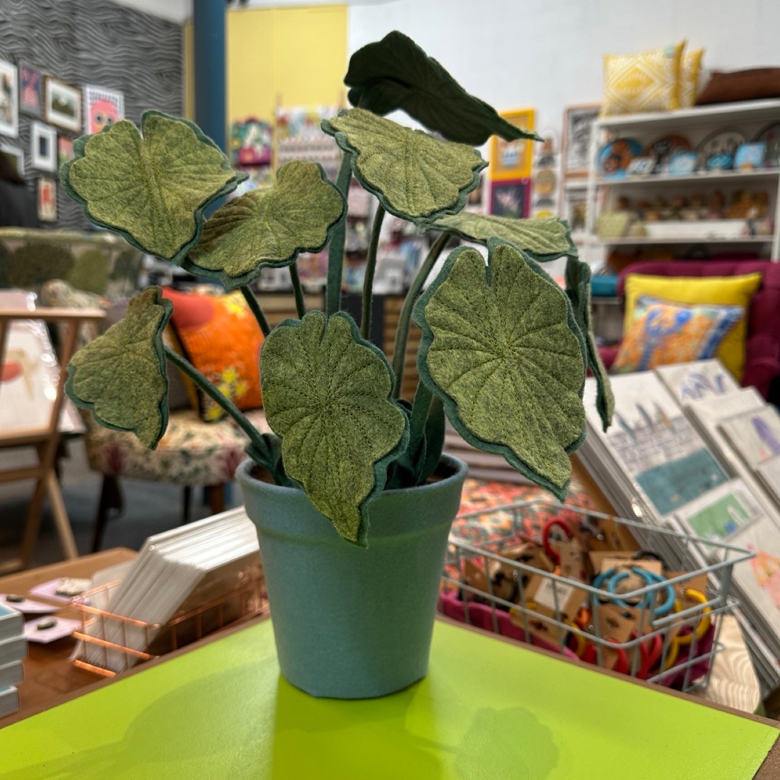 Philodendron Marl plant made of felt, on a shelf.