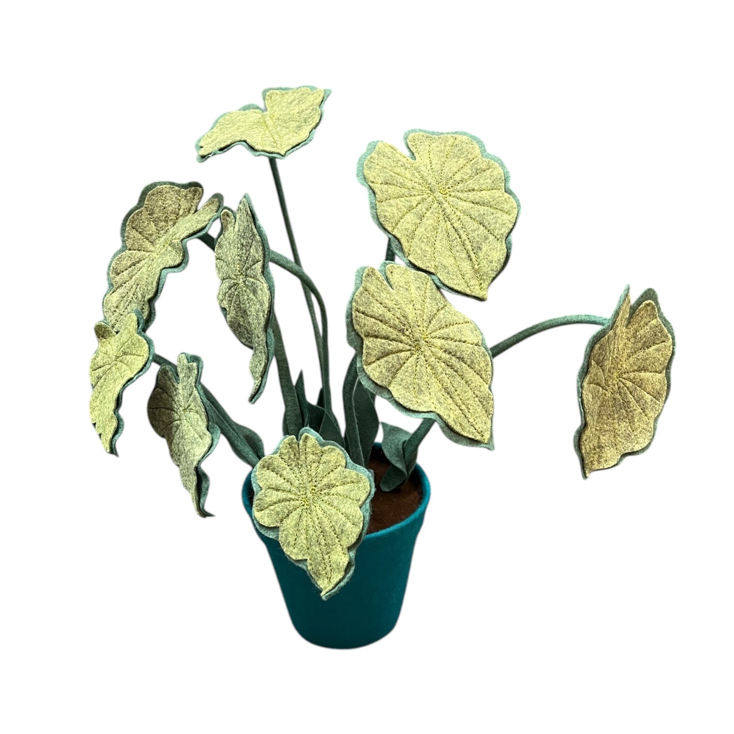 Photo of a felt philodendron marl plant and plant pot
