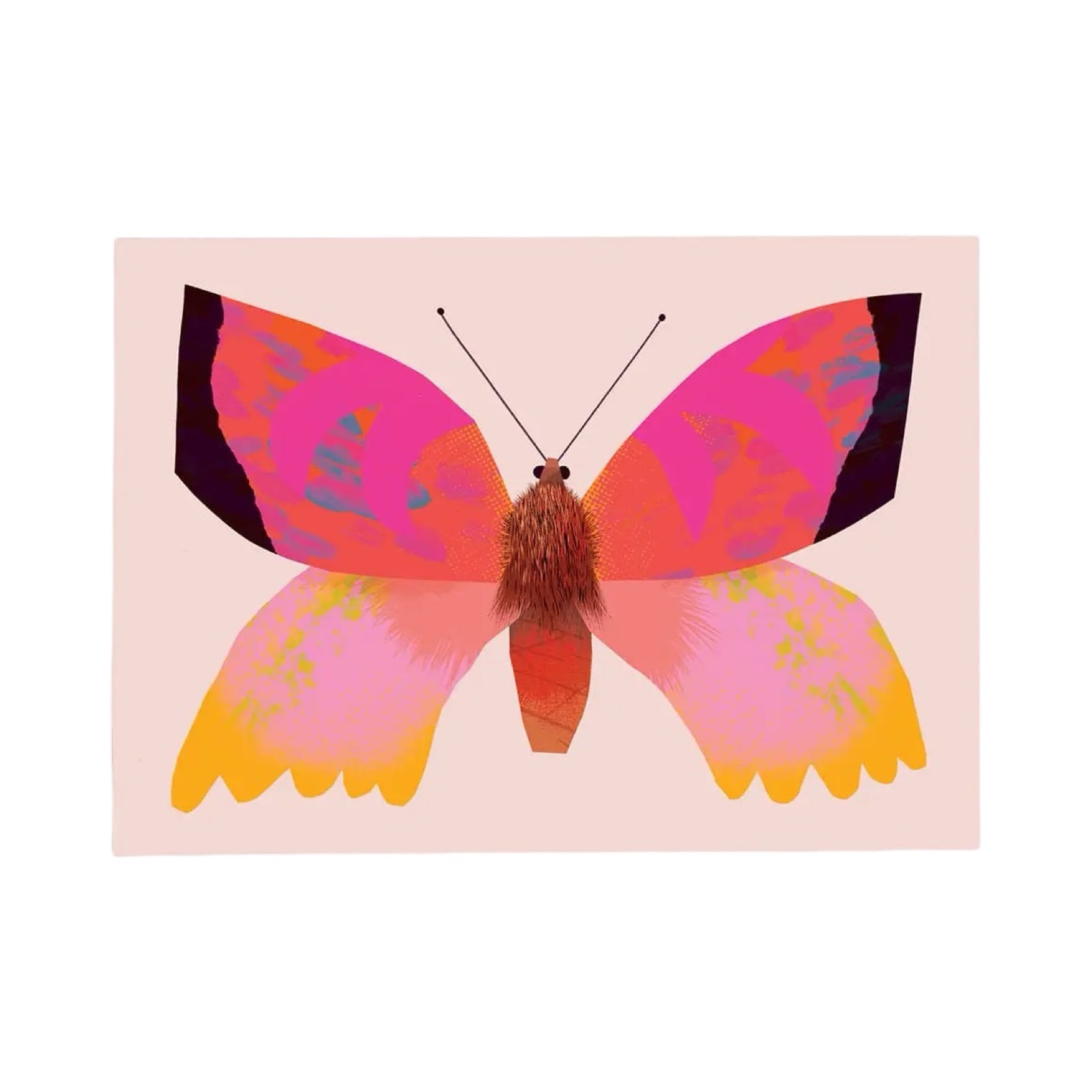 A pink butterfly postcard on a pale pink background.