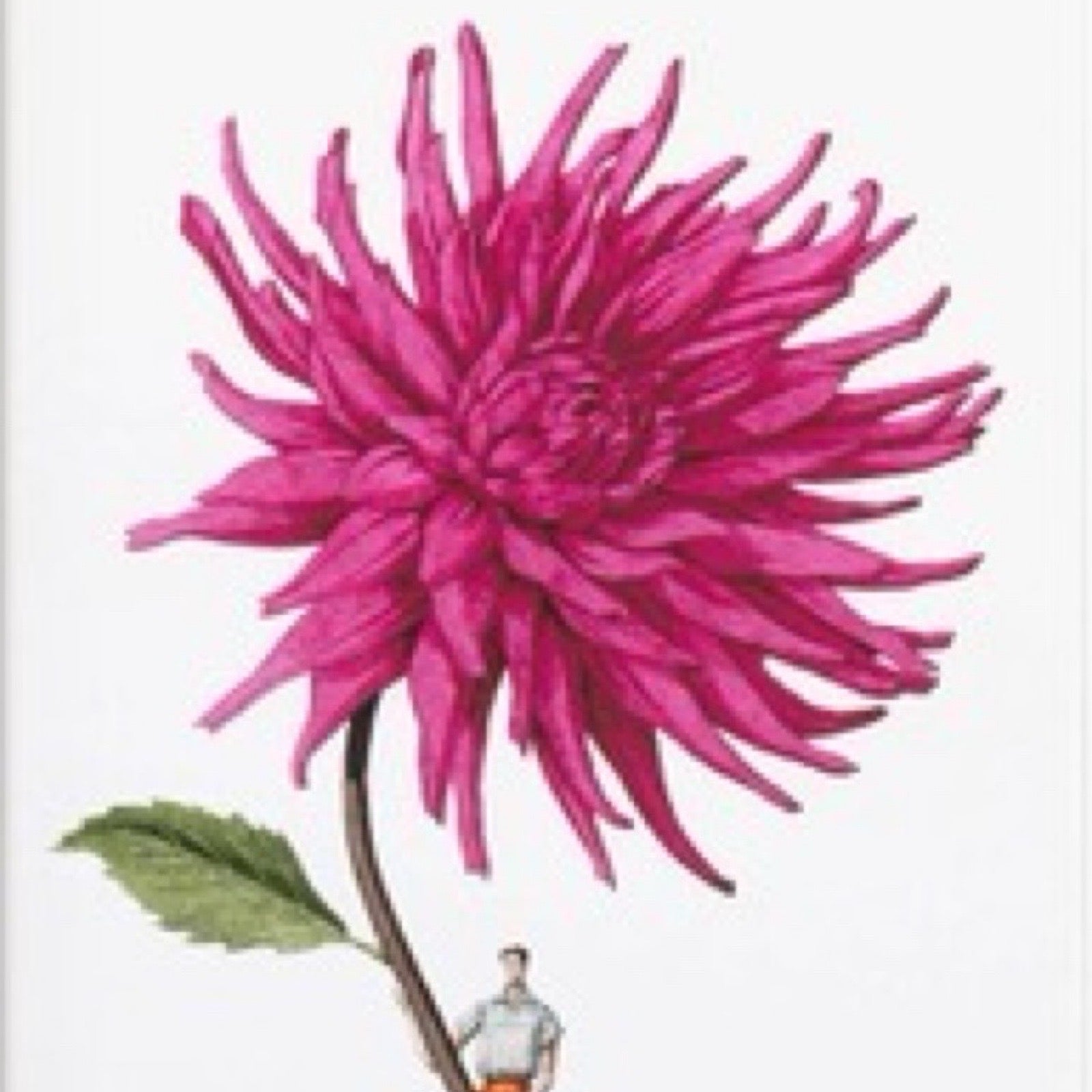 Illustration of a large pink flower with a small figure at its base on a white background.