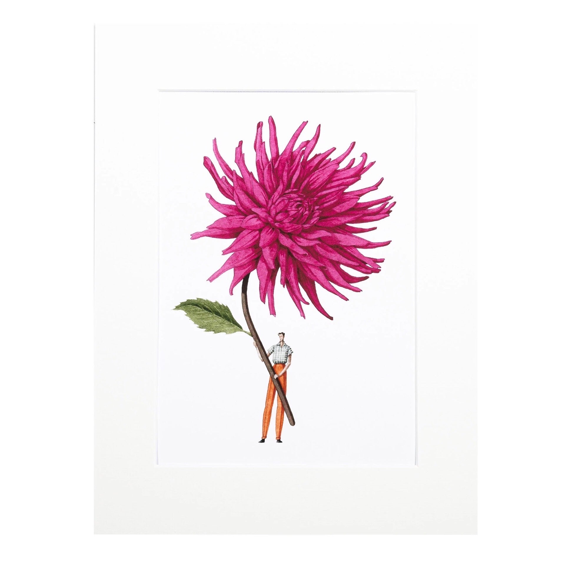Print featuring a beautiful illustration of a fabulously dressed man holding a giant pink dahlia.