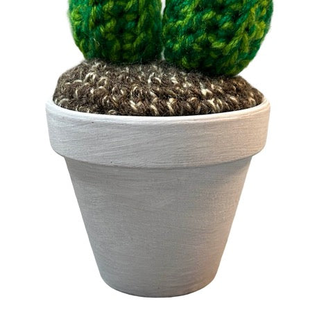 Handmade double stem crochet cactus with Pink flowers in a white painted terracotta pot.