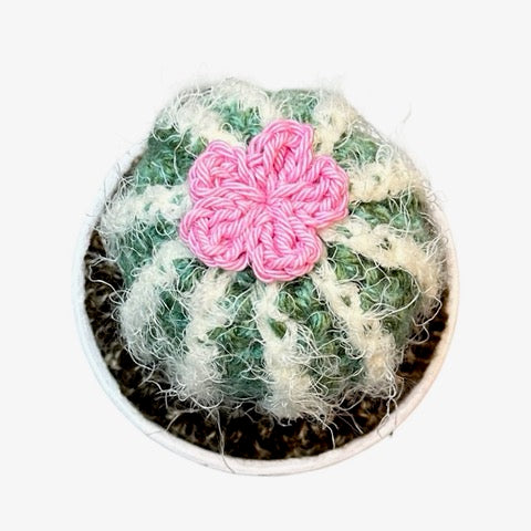 Handmade round crochet cactus with a pink flower in a white painted terracotta pot.