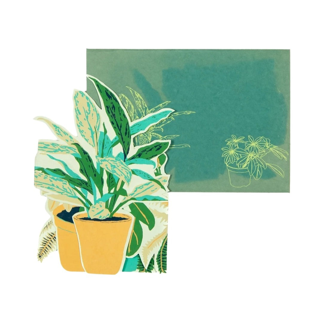 Plant pots concertina card and green envelope.