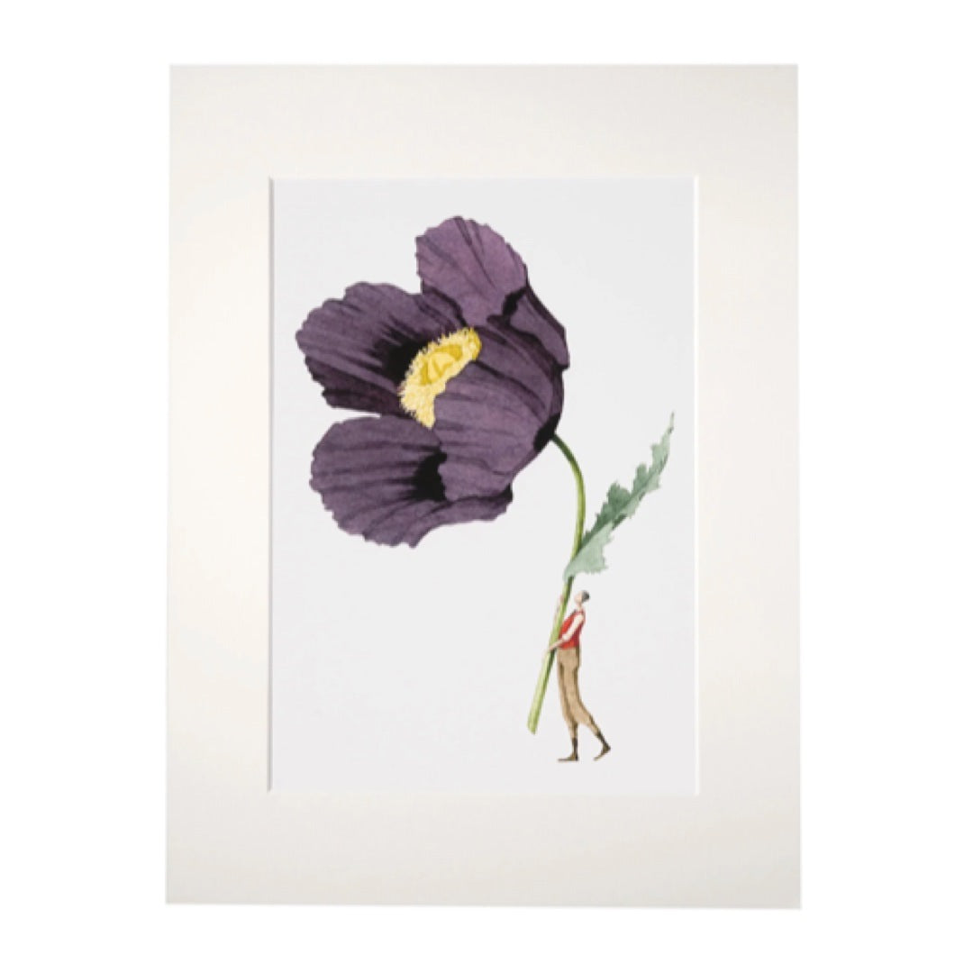 Floral mounted print featuring a beautiful illustration of a fabulously dressed man holding a giant purple poppy.