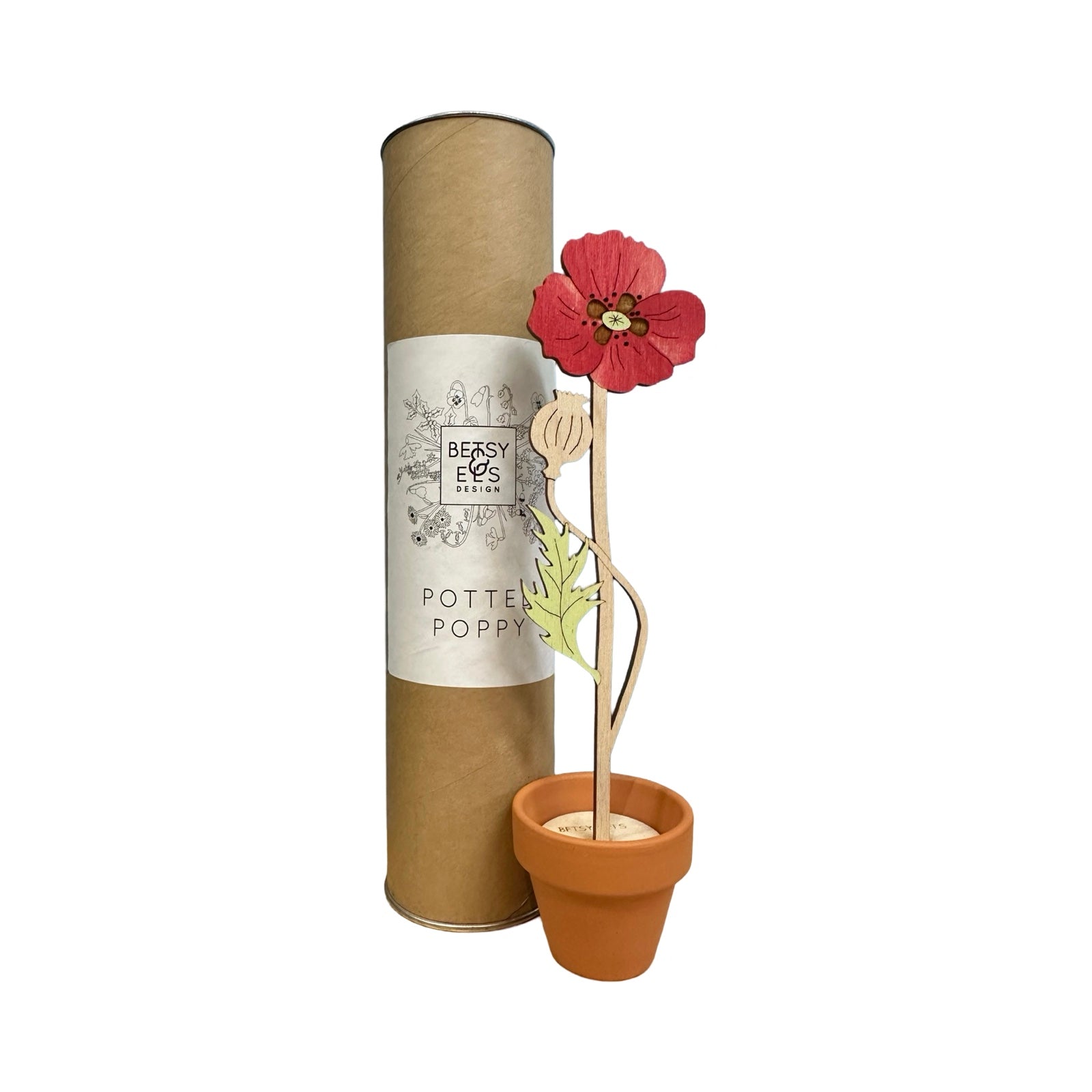 A poppy wooden flower stem in a terracotta pot next to a cardboard tube.