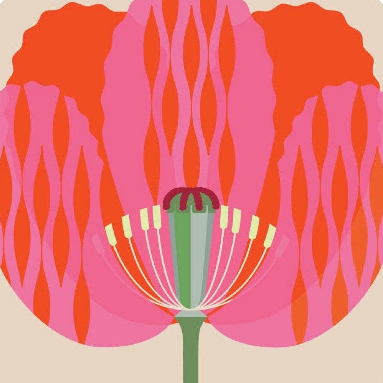 Illustration of a flower with pink petals and a red background.