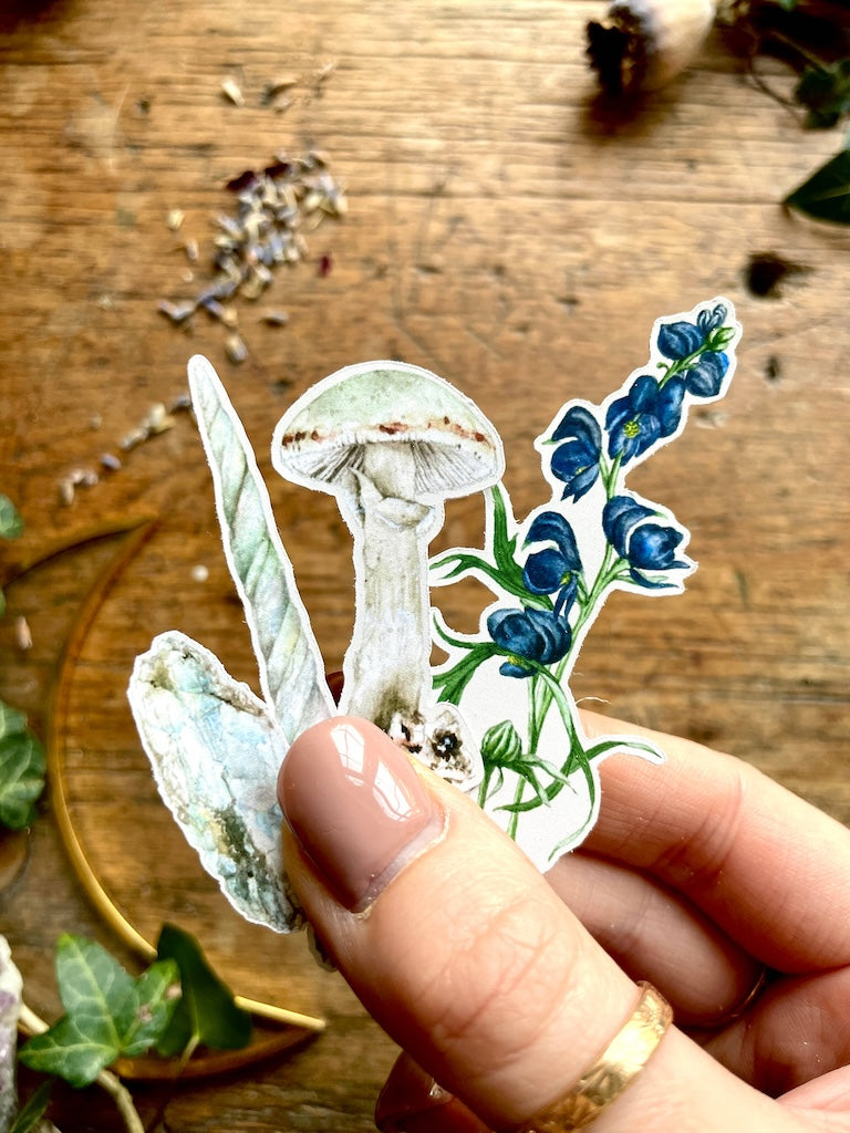 Hand holding a sticker with nature-themed design on a wooden surface.