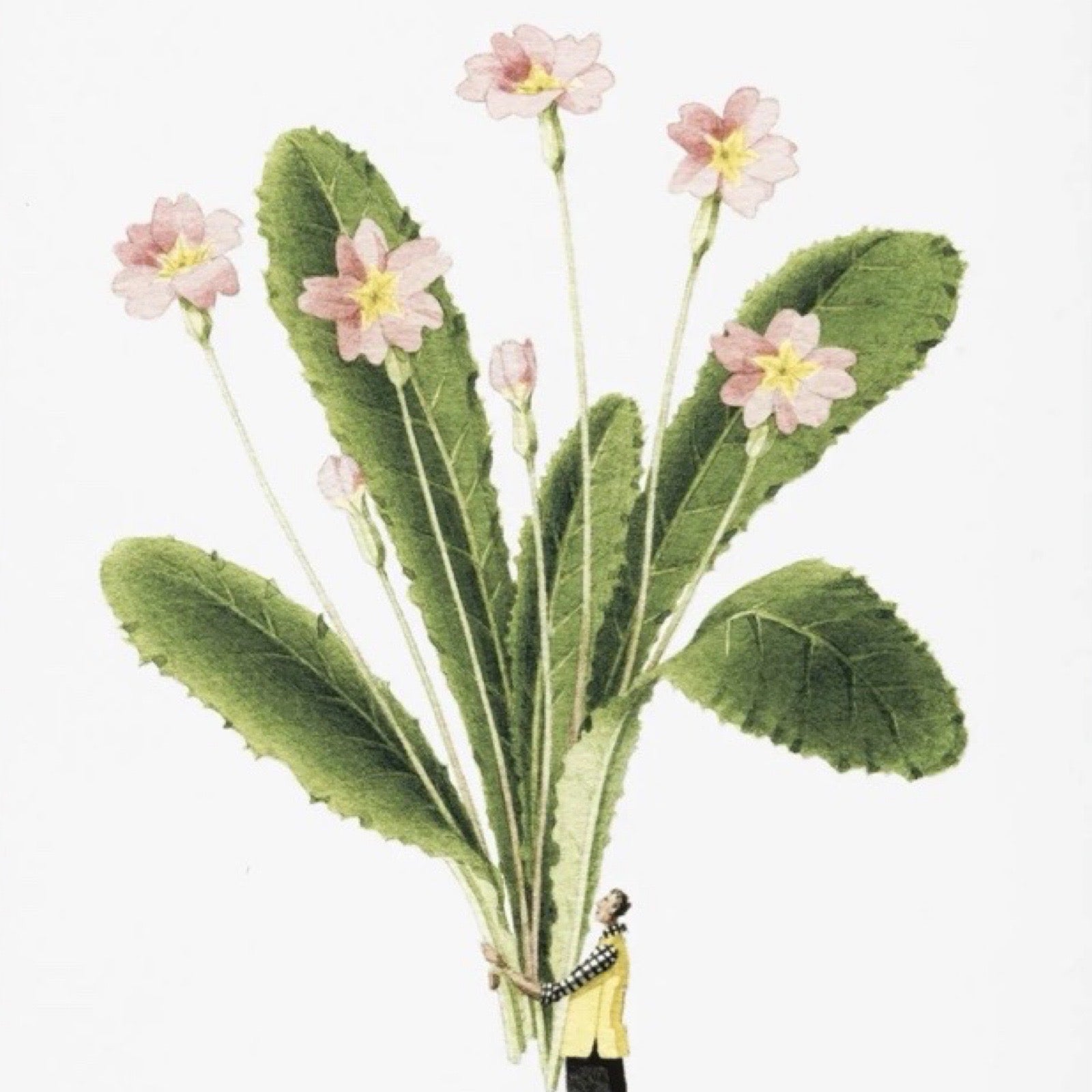 Illustration of a bouquet with pink flowers and green leaves on a white background.