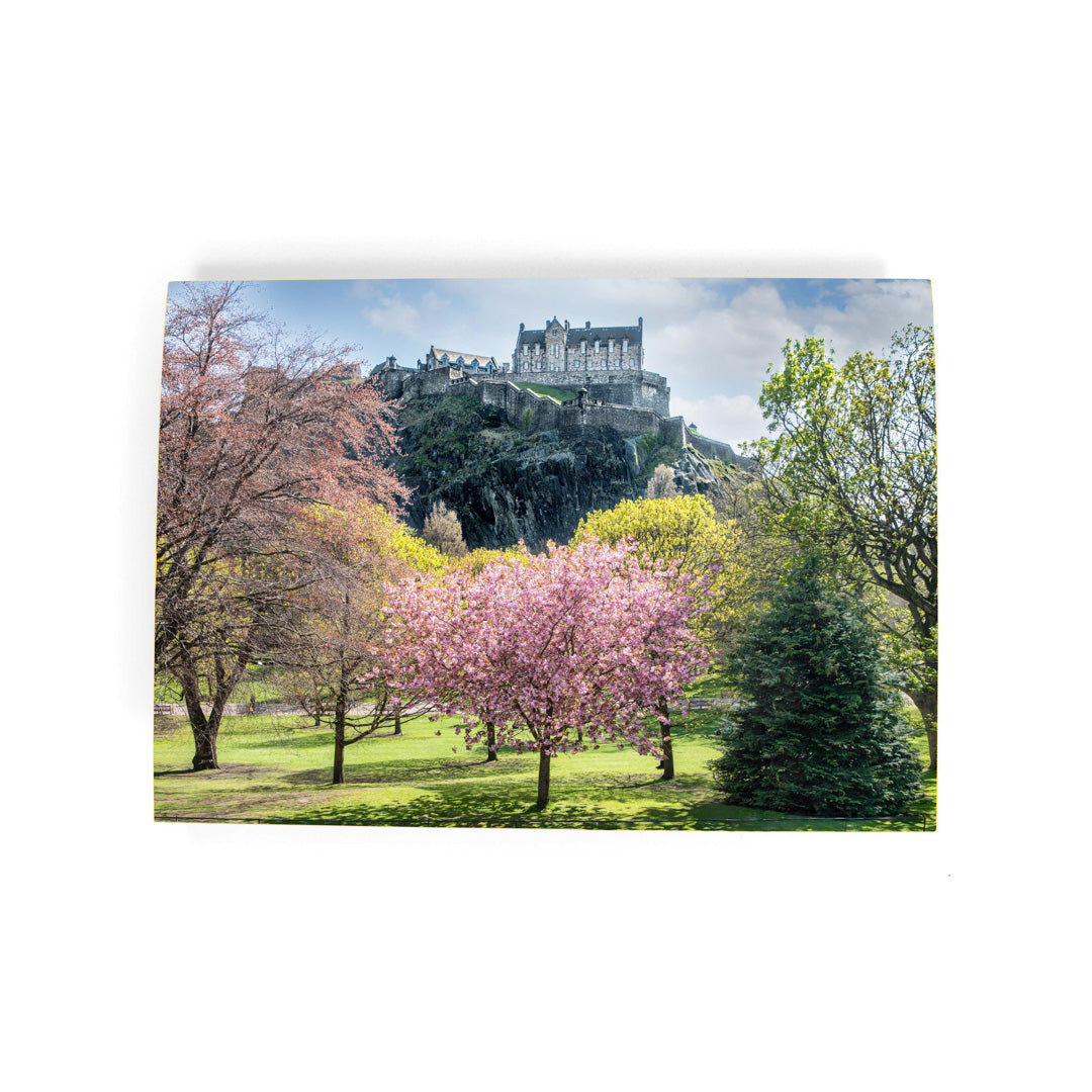 Castle on a hill with cherry blossom trees in the foreground
