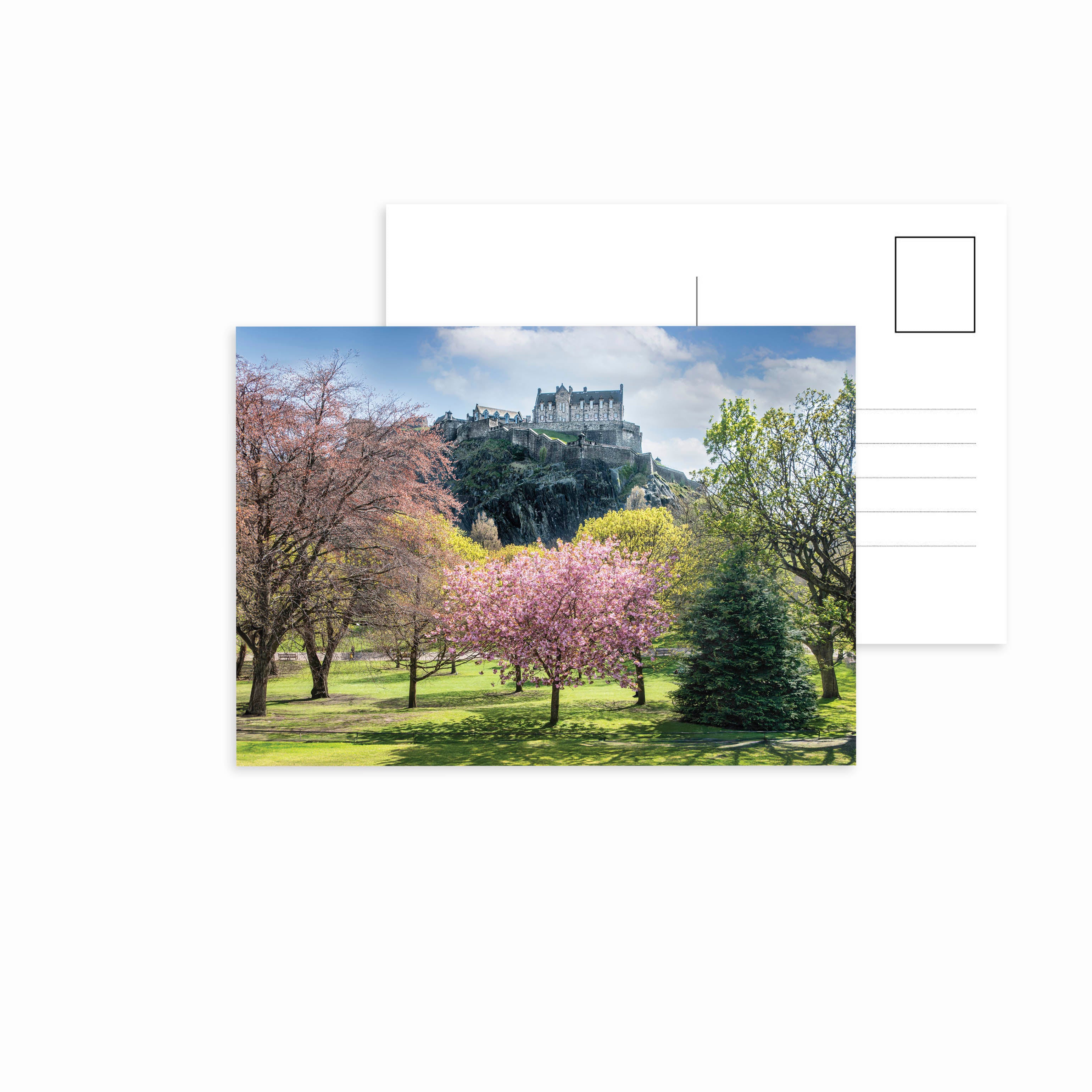 An image of a tree with blossom in Princes Street Gardens with Edinburgh Castle behind it on a postcard.