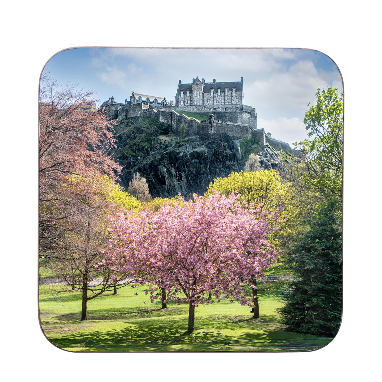 Castle on a hill with cherry blossom trees in the foreground.