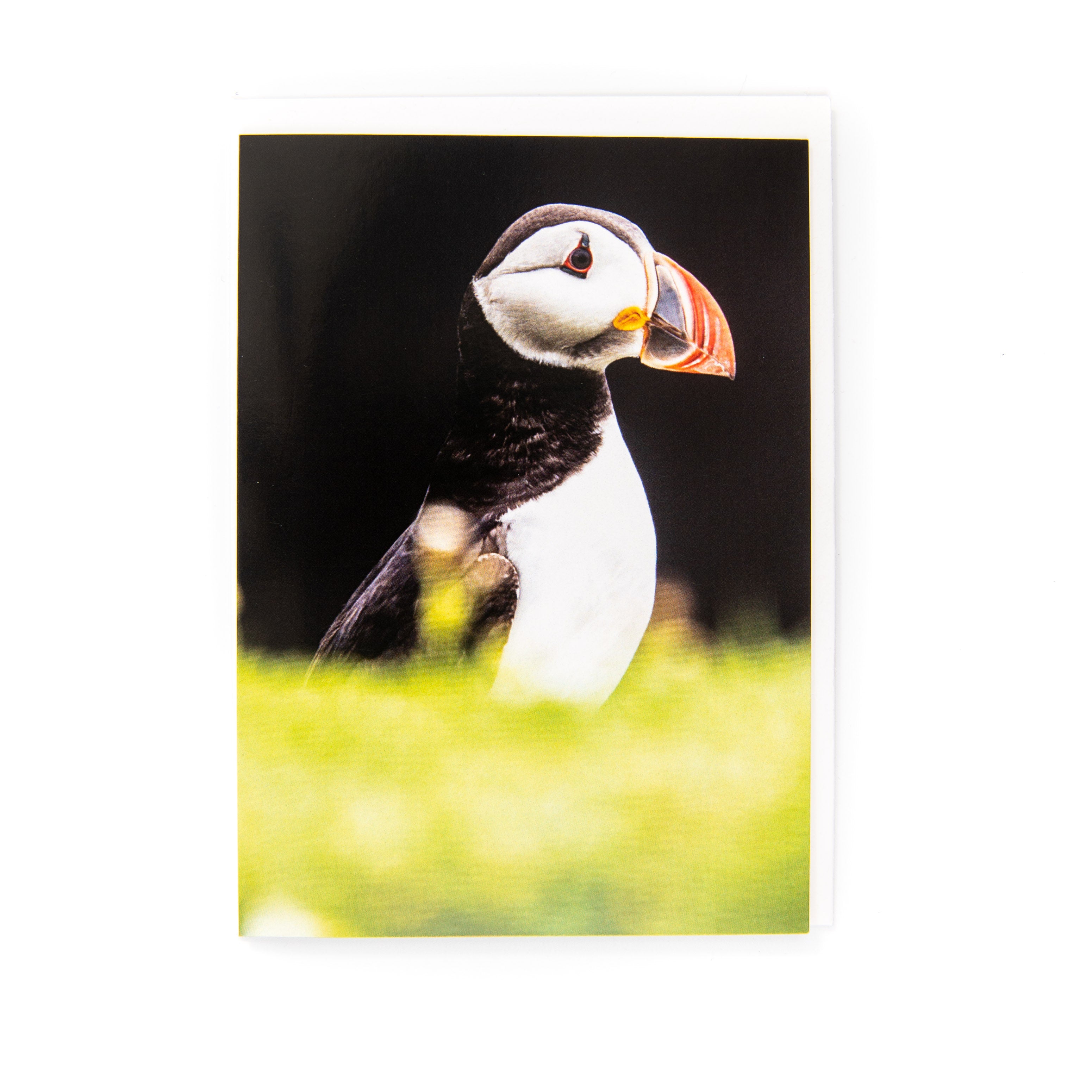 An image of a puffin on a greetings card.