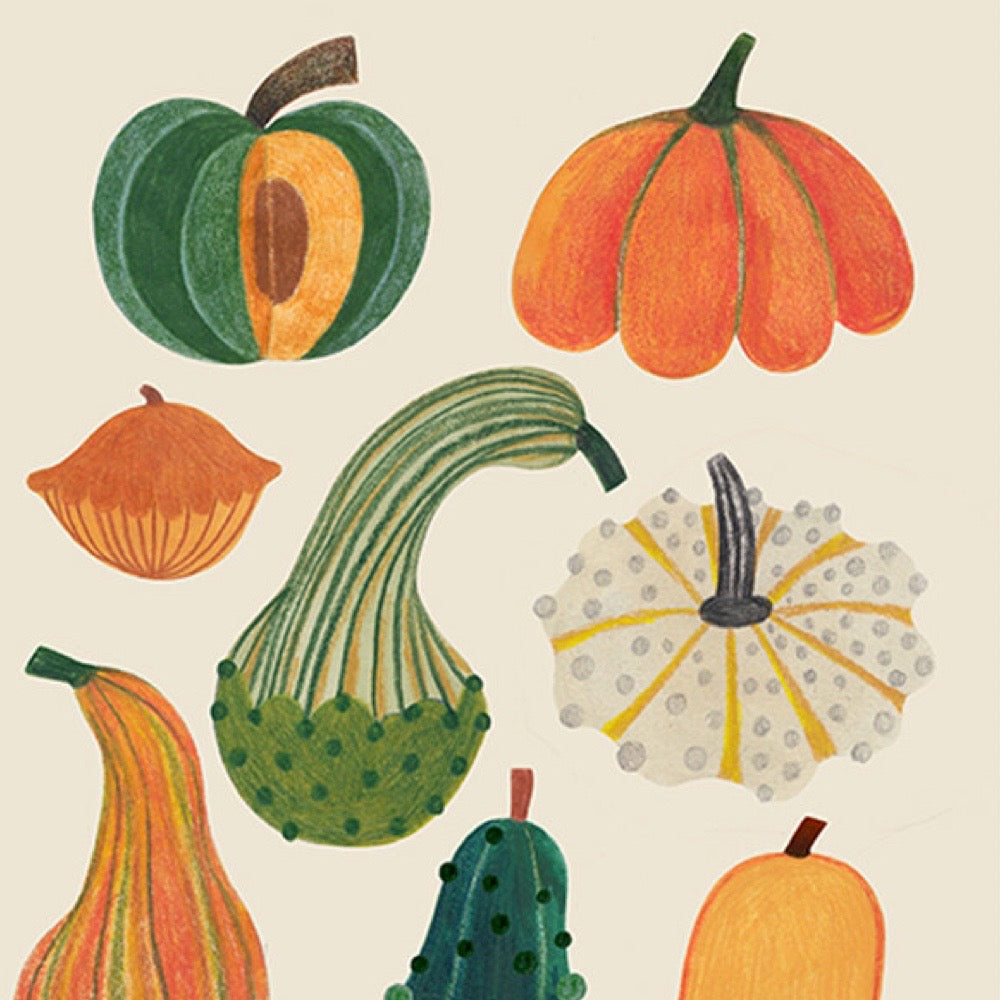 Illustration of various pumpkins on a beige background.