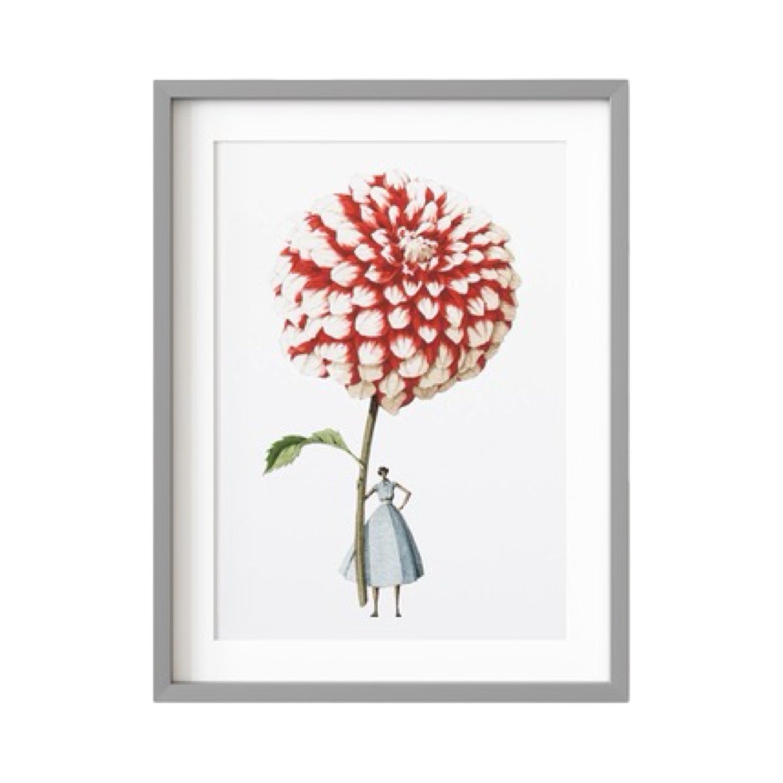 Floral mounted print featuring a beautiful illustration of a fabulously dressed lady holding a giant red and white dahlia.