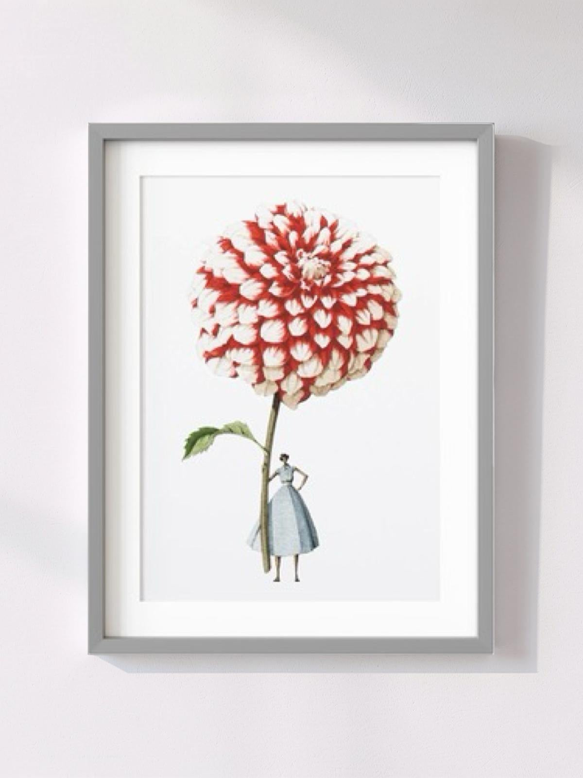 Framed artwork of a woman holding a large red and white flower against a white background.