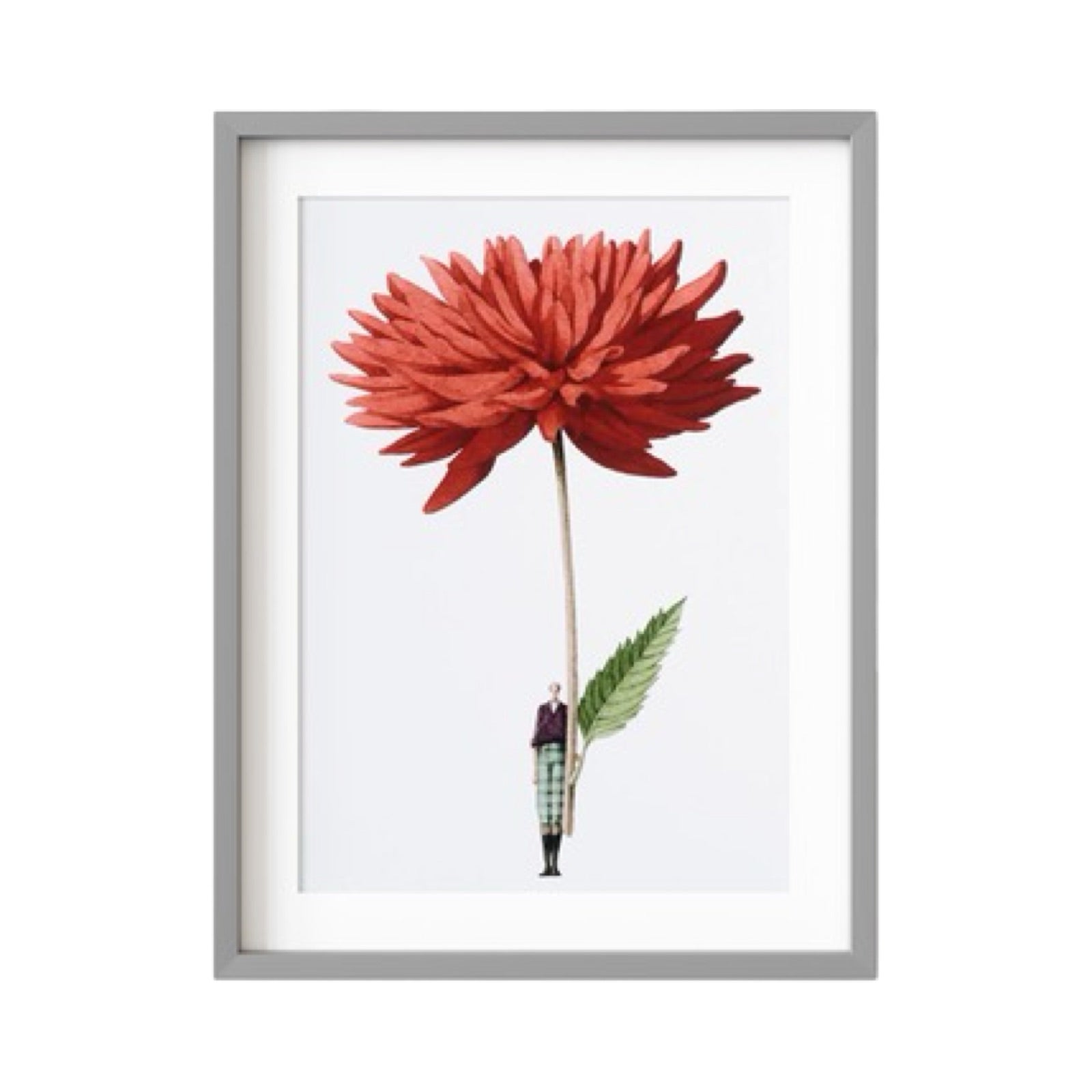 Floral framed mounted print featuring a beautiful illustration of a fabulously dressed lady holding a giant red dahlia.