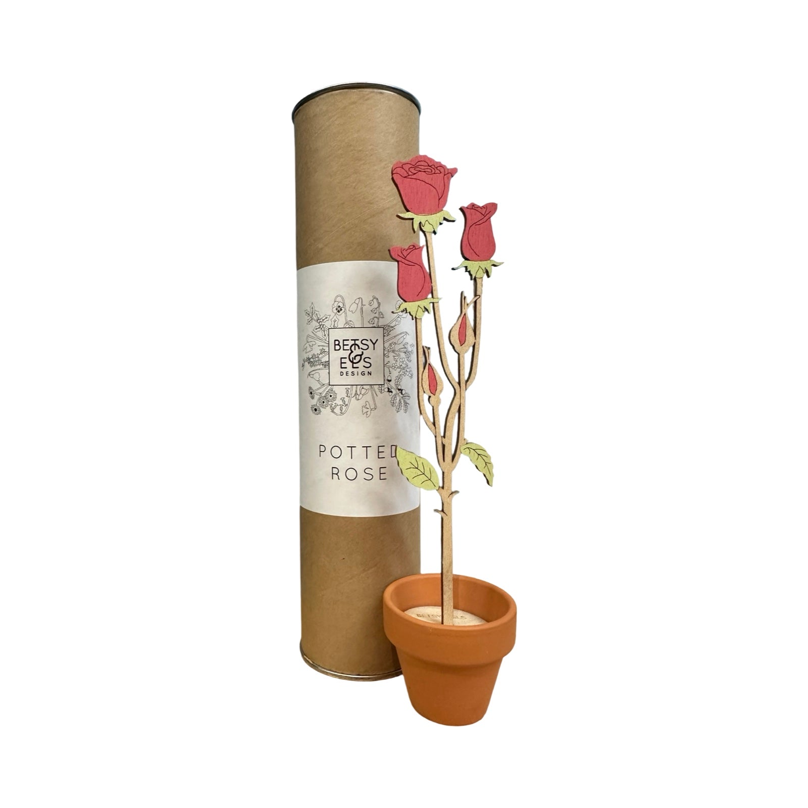 A single rose wooden stem in a terracotta pot next to a cardboard tube.